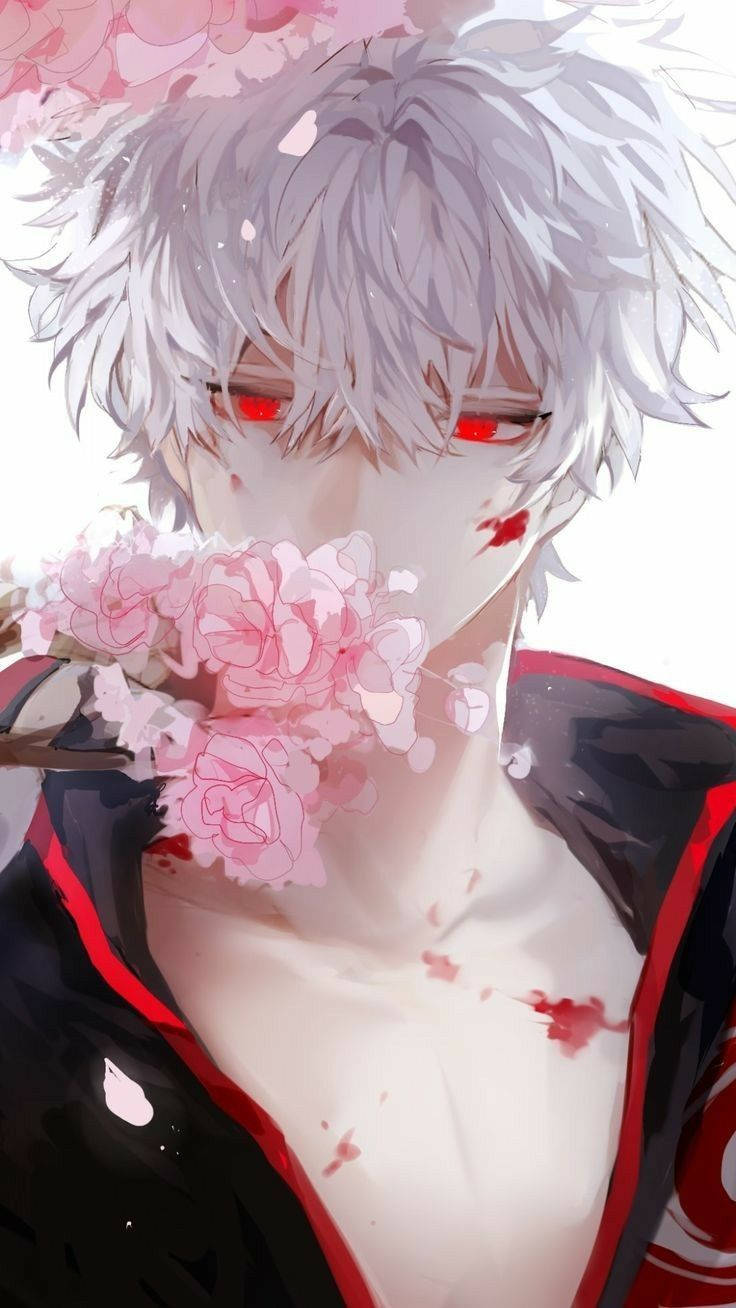 帥氣動漫男孩 Sakata Gintoki 壁紙 — 一個銀髮紅眼的動漫角色在明亮的白色背景前手持粉紅色的櫻花。