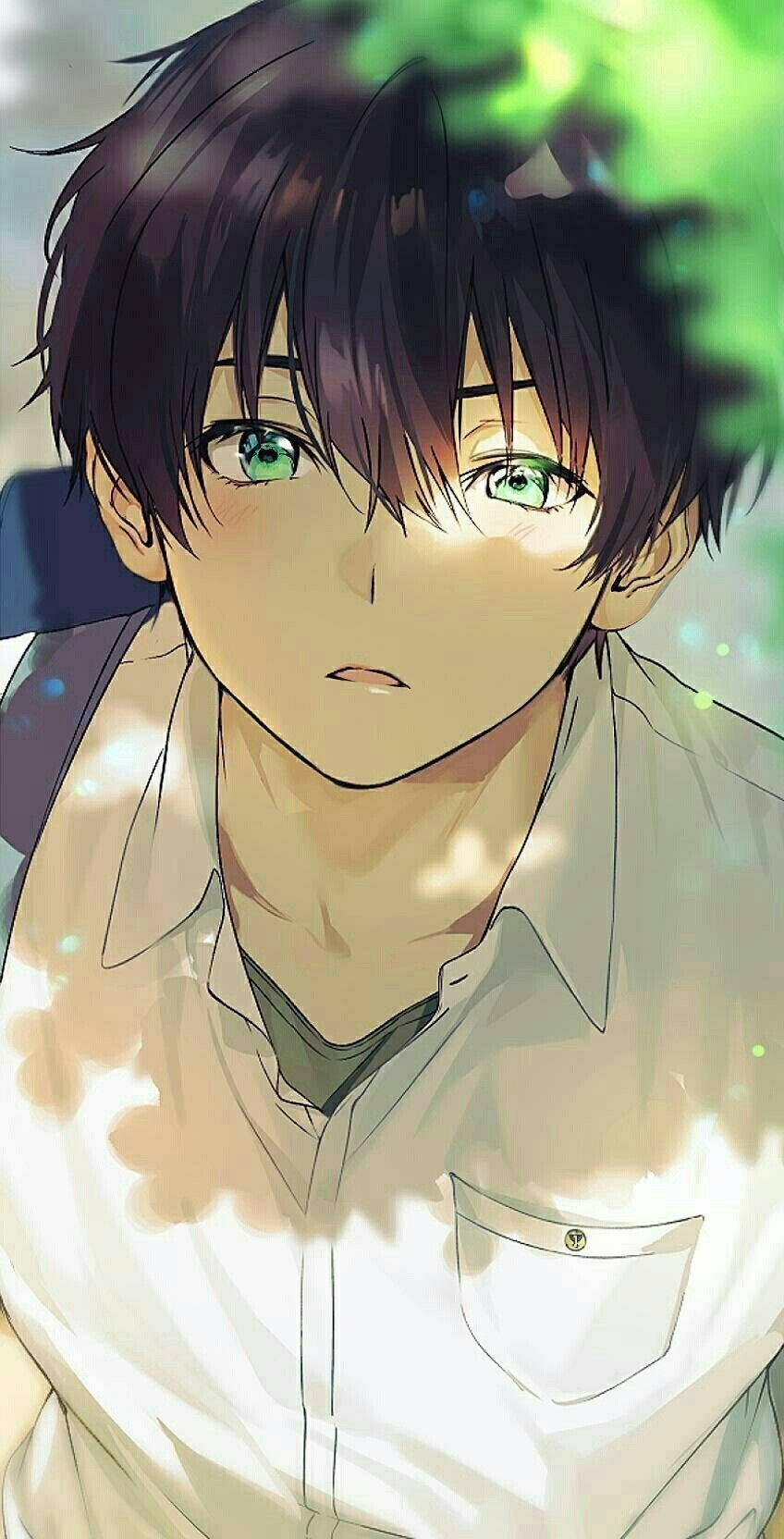 帥氣動漫男孩熱海浩太郎 壁紙 — 一個特寫的動畫男孩，深色頭髮和鮮綠色眼睛，在透過樹葉過濾的斑駁陽光下溫柔地凝視。