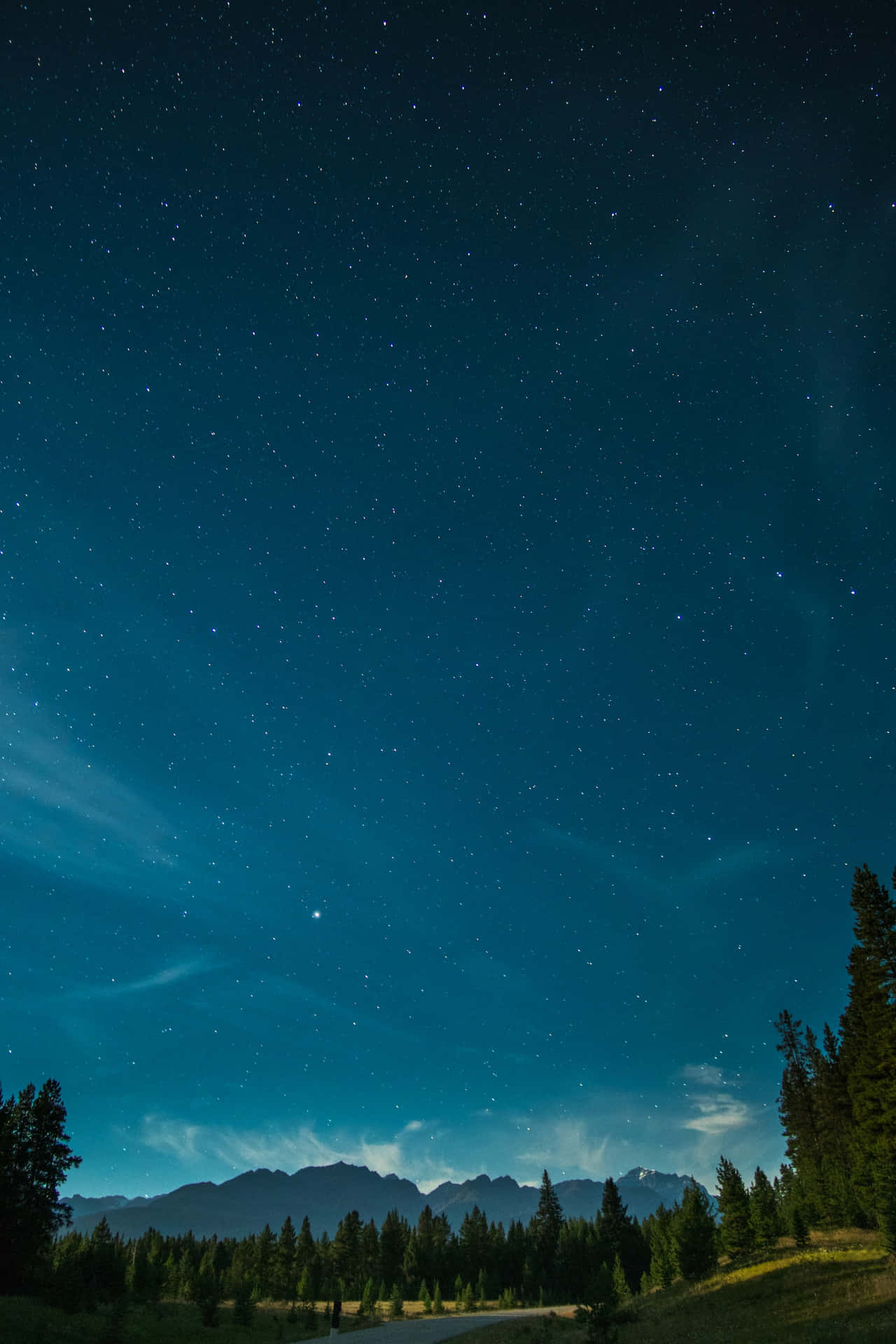 繁星點點的夜空，極光映照著山脈和松樹。