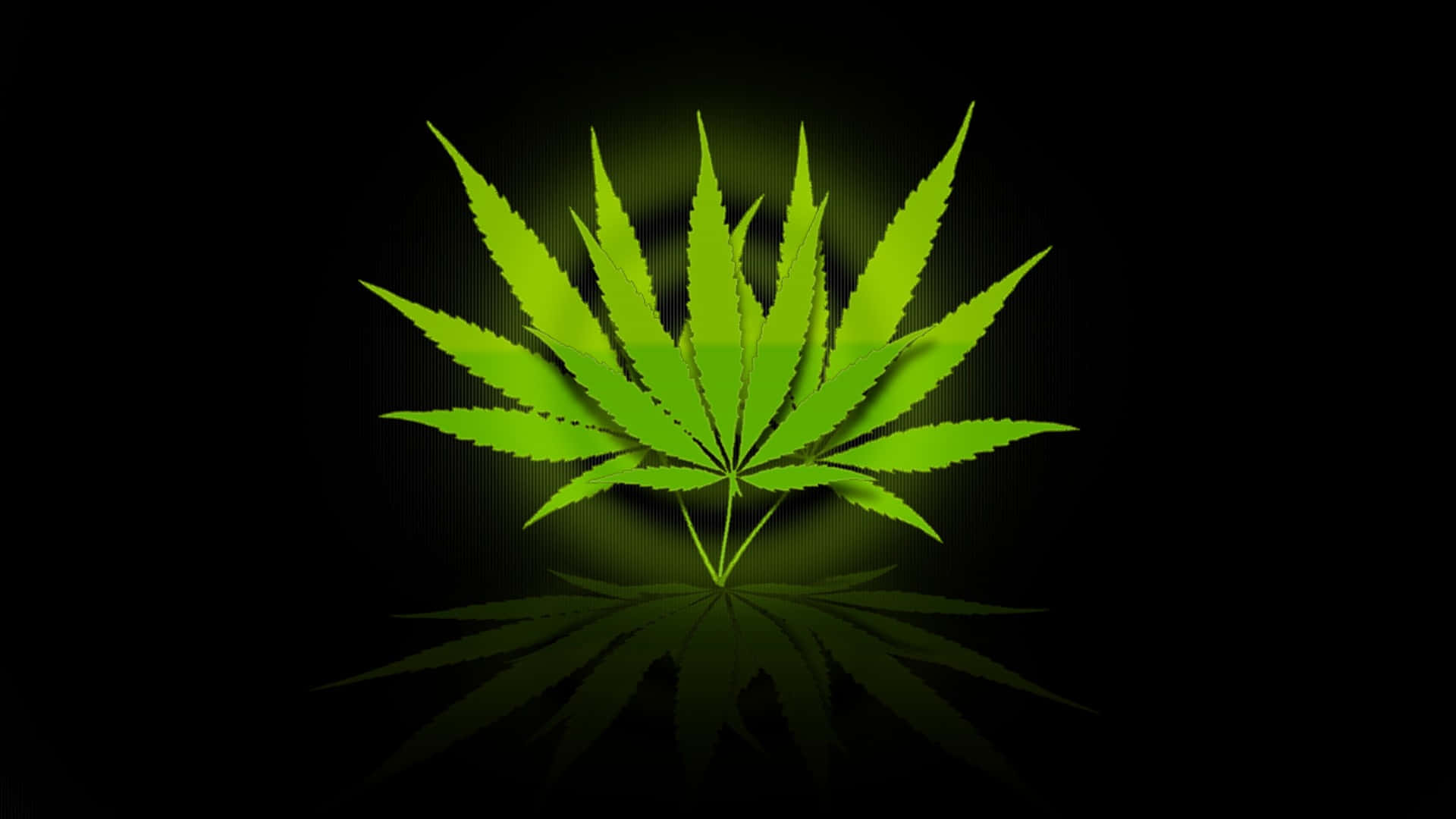 發光綠色大麻葉，在黑色背景上帶有倒影。