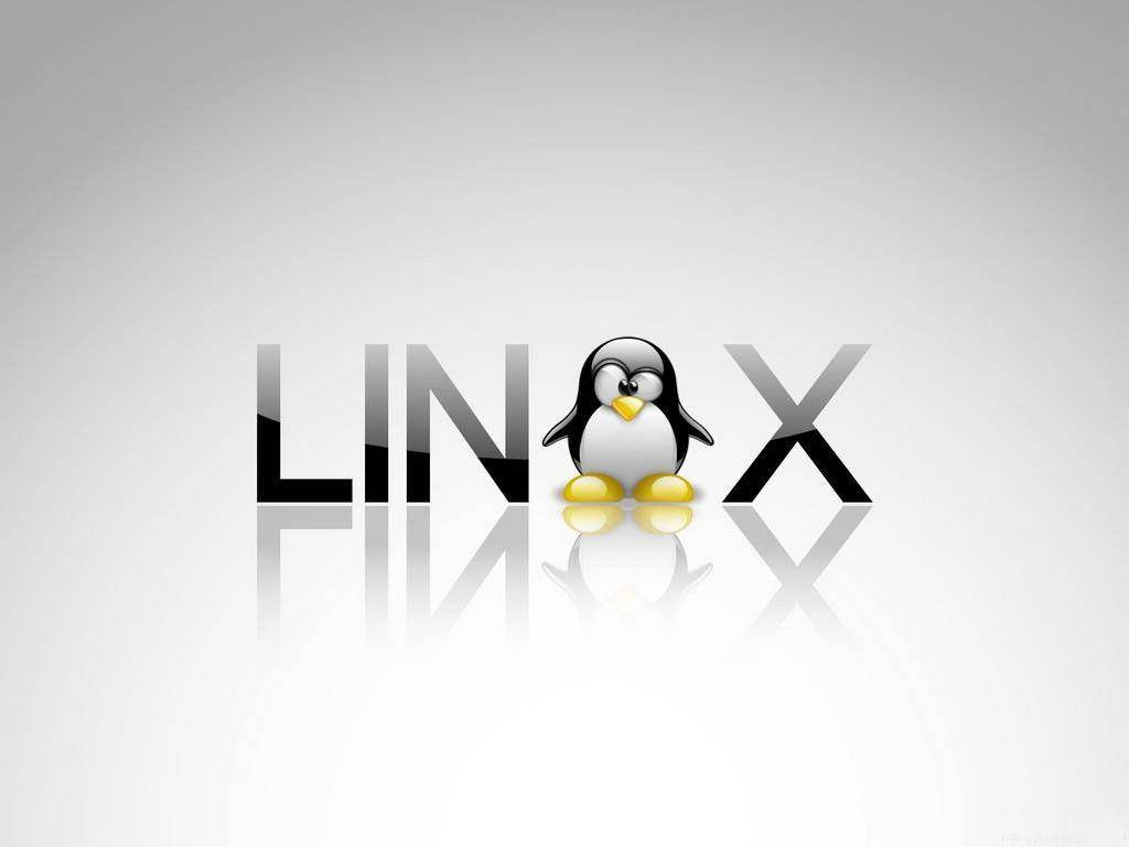 Linux企鵝吉祥物站在反射表面上，位於Linux這個詞的字母之間。