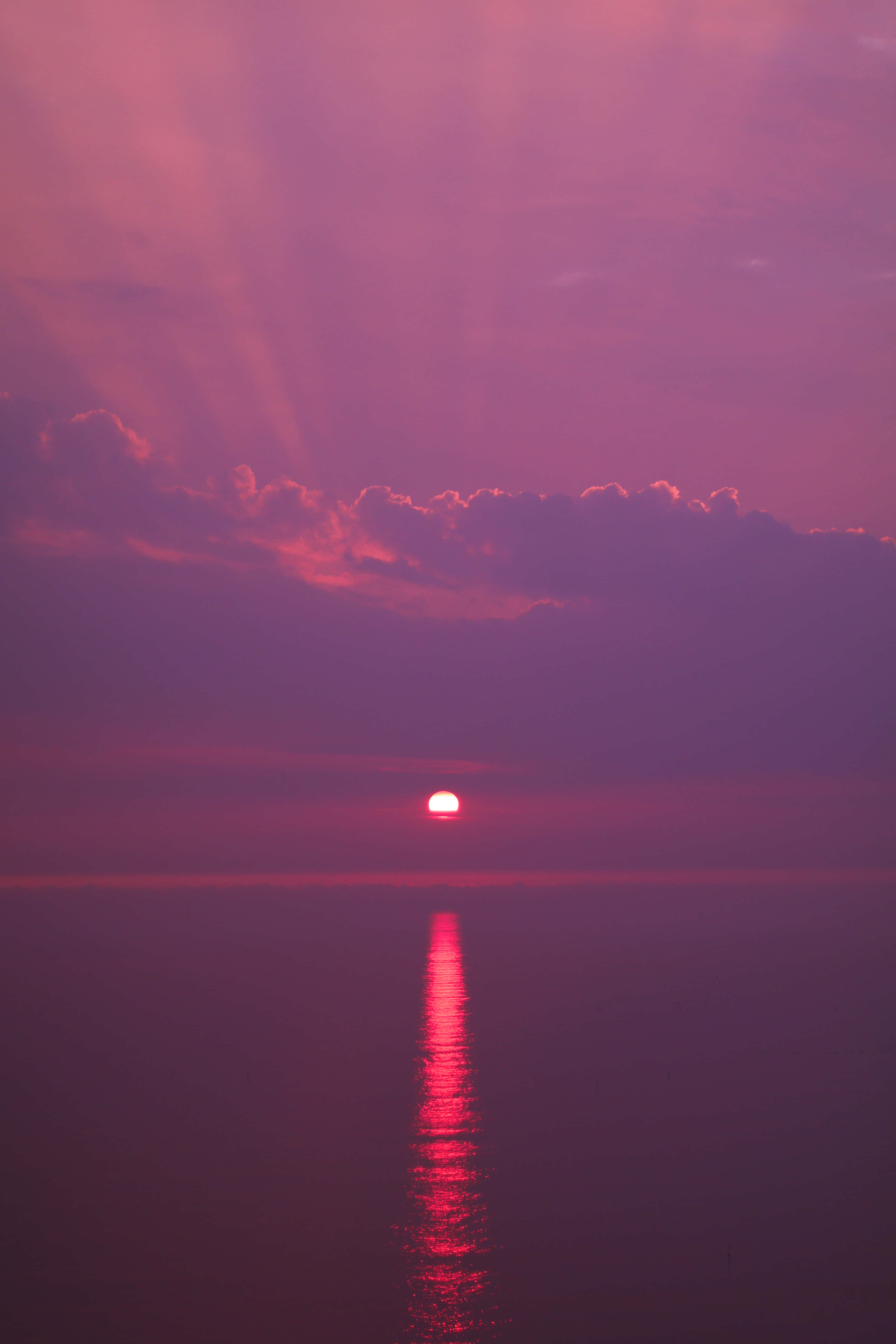 帶有太陽倒影的粉紅海灘日落 壁紙 — 一輪耀眼的粉紅夕陽在平靜的水面上落下，在寧靜的地平線上投下閃爍的倒影。