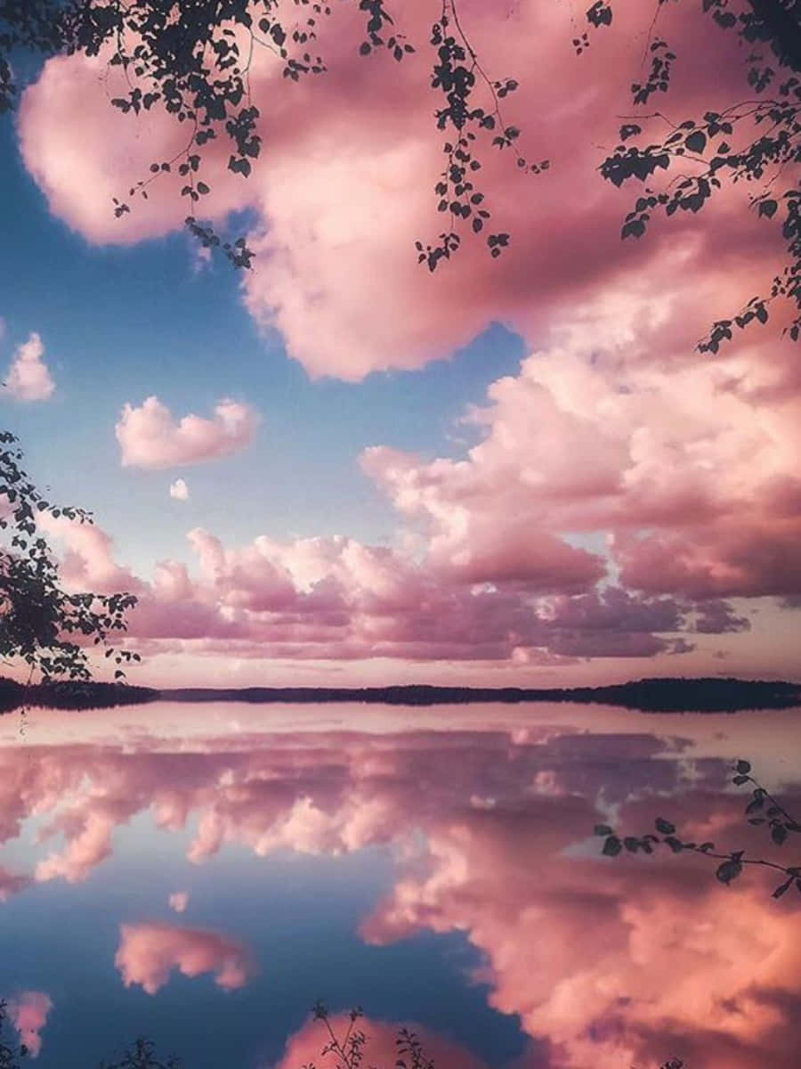 帶有旋渦圖案的粉嫩美感背景 壁紙 — 粉紅色的雲彩完美地倒映在平靜的湖面上，湖邊襯托著暮色中剪影般的樹枝。