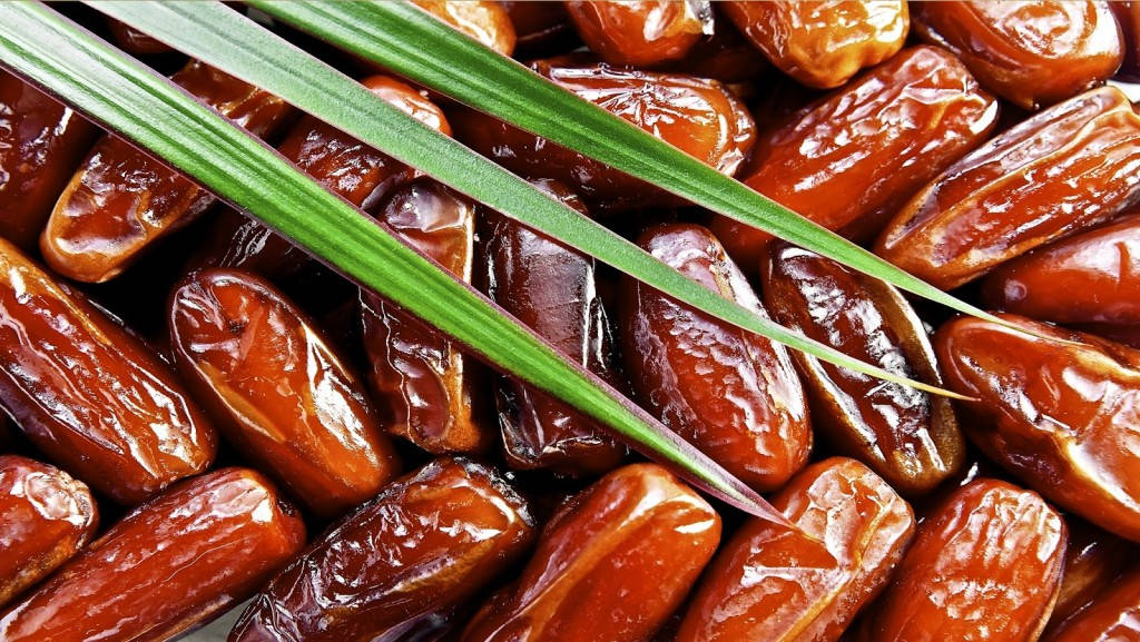 帶有綠色棕櫚葉的光澤棕色椰棗，適合熱帶食物背景。