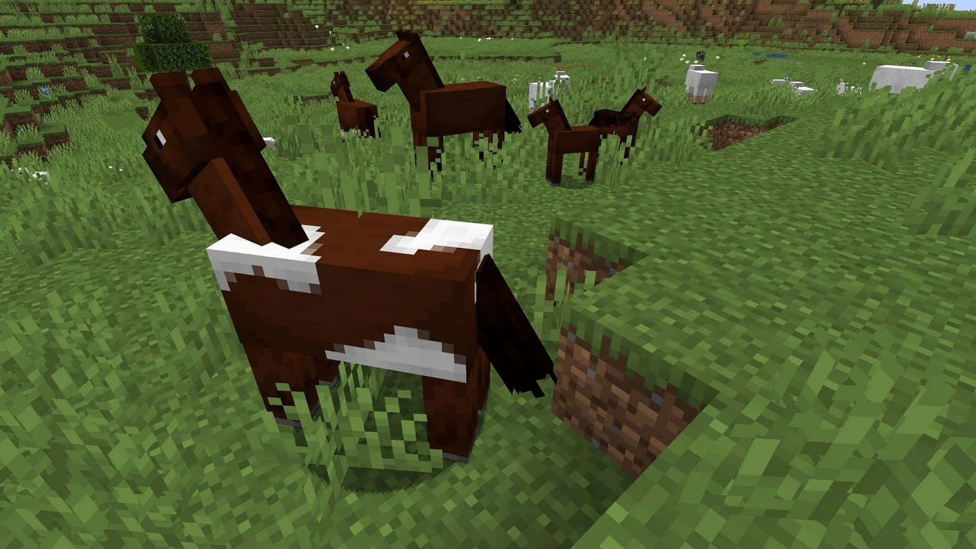 Minecraft Horses 桌布 壁紙 — 帶有白色斑紋的方塊狀棕色馬匹在明亮的日光下於像素化的綠色田野中吃草。