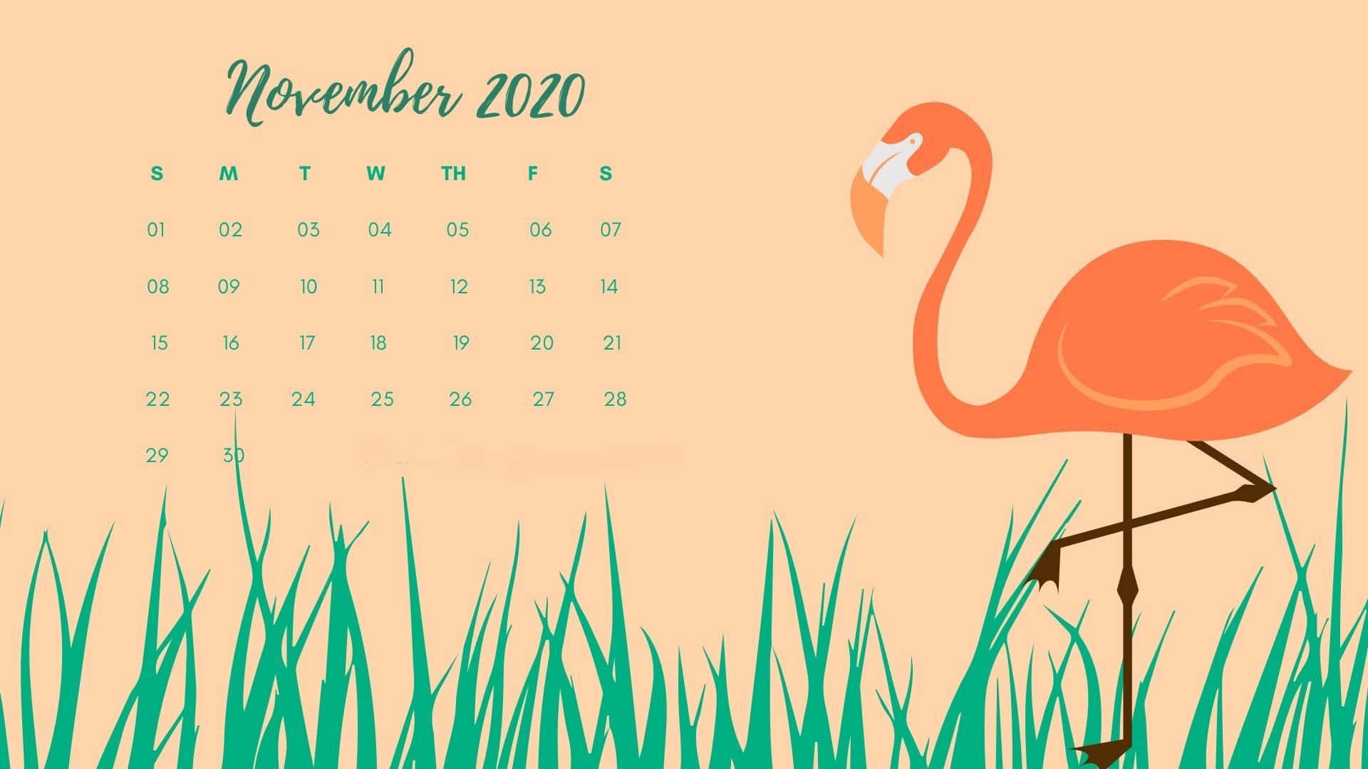 2020年11月月曆，綠色草地上有粉紅色火烈鳥。