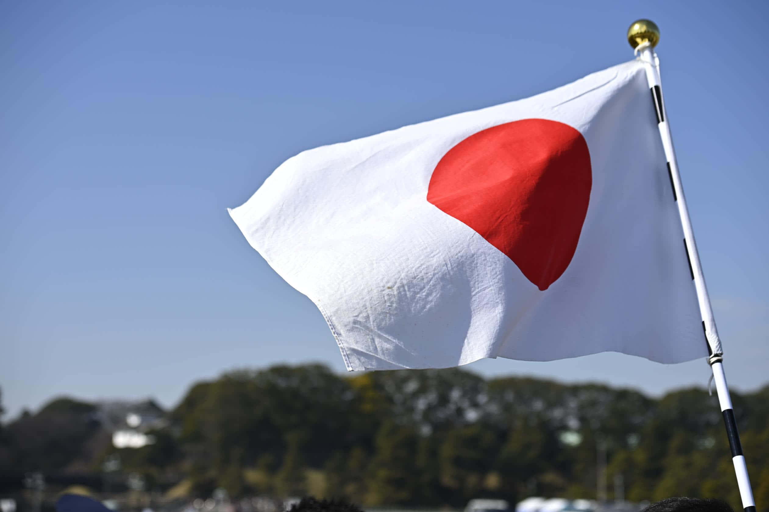 Japanese 桌布 壁紙 — 帶有紅色圓圈的日本國旗在晴朗的藍天和綠樹上方自豪地飄揚。