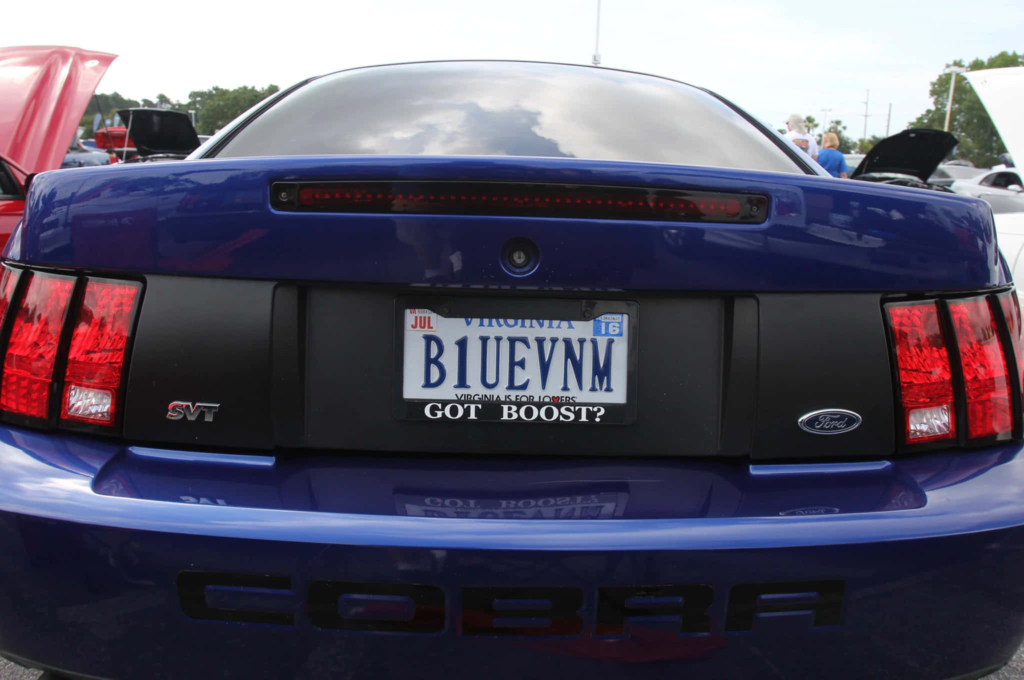 Car License Plate 桌布 壁紙 — 帶有維珍尼亞州車牌和「GOT BOOST?」貼紙的亮藍色福特野馬眼鏡蛇的後視圖。