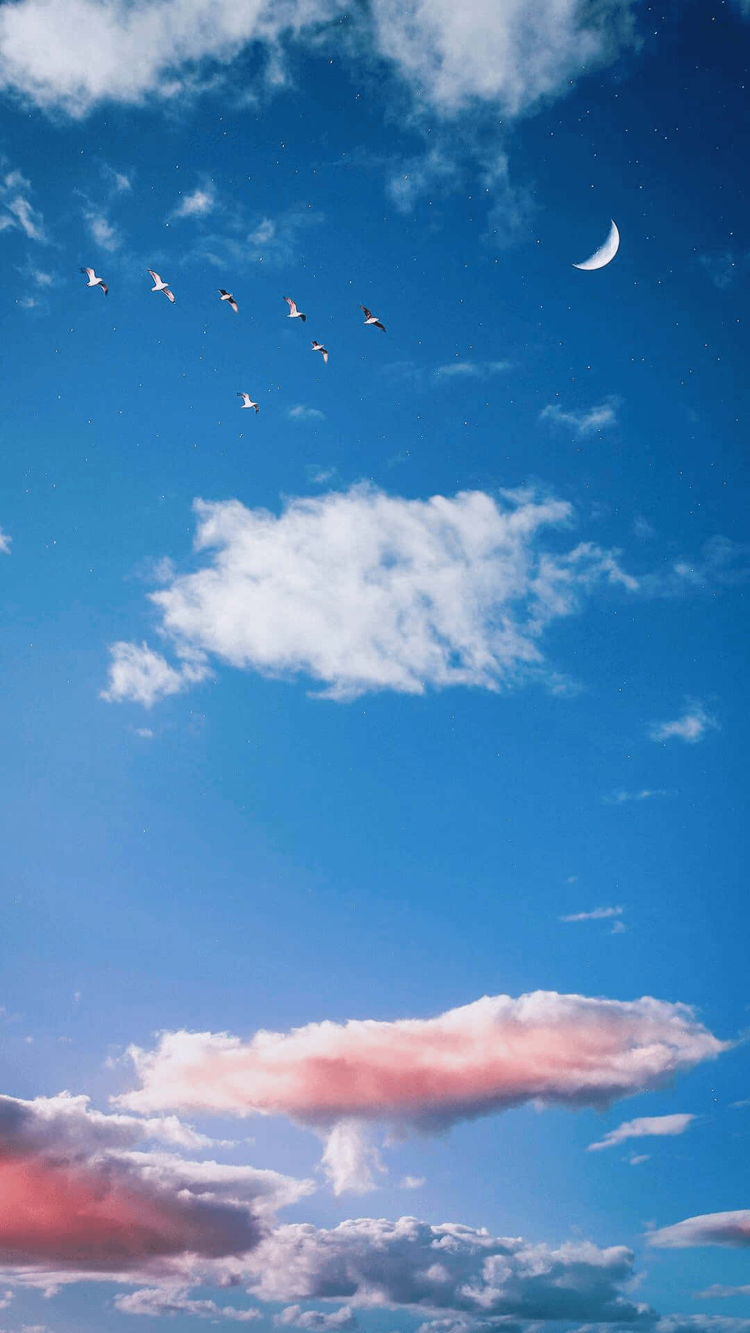 帶有陽光的寧靜藍天雲景 壁紙 — 一群鳥兒在蔚藍的天空中排成隊形飛翔，天空中有新月和粉紅色的雲彩。