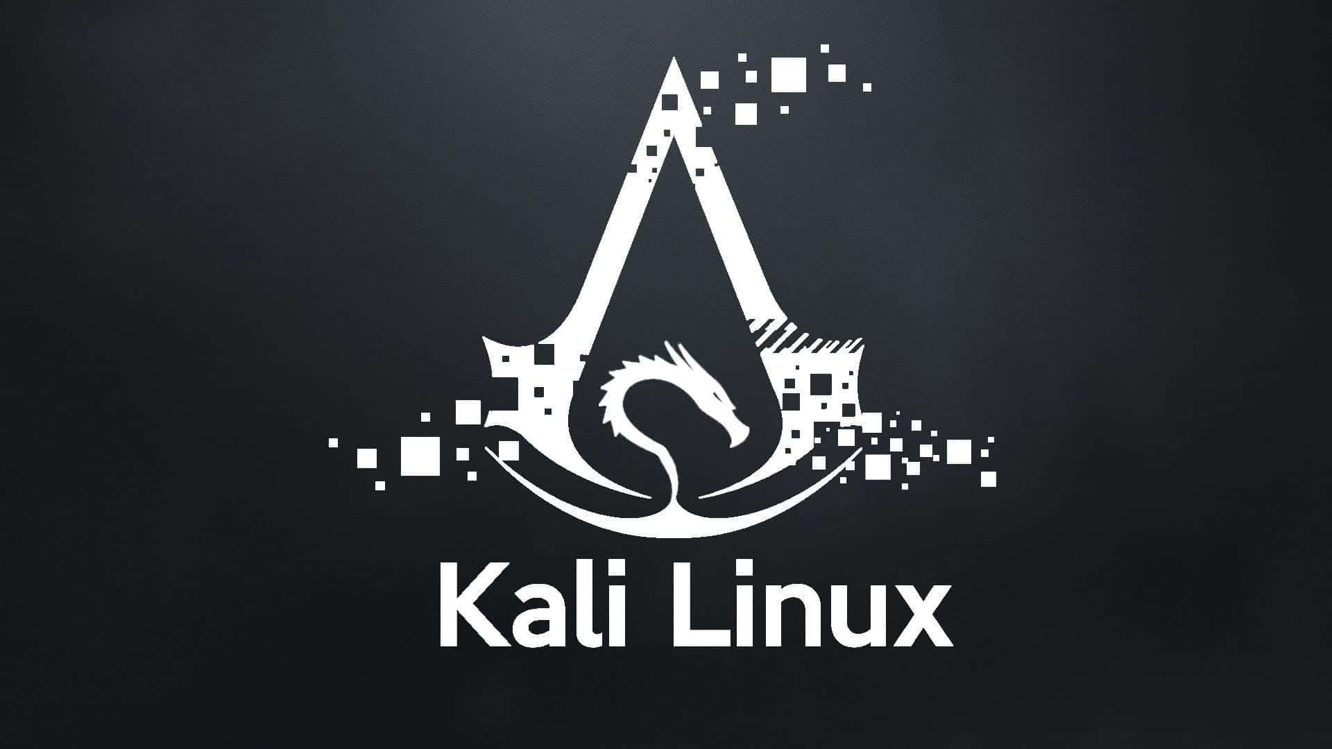 帶有骷髏標誌的 Kali Linux 作業系統風化背景 壁紙 — 白色Kali Linux標誌，帶有龍和像素化元素，背景為深色漸變。