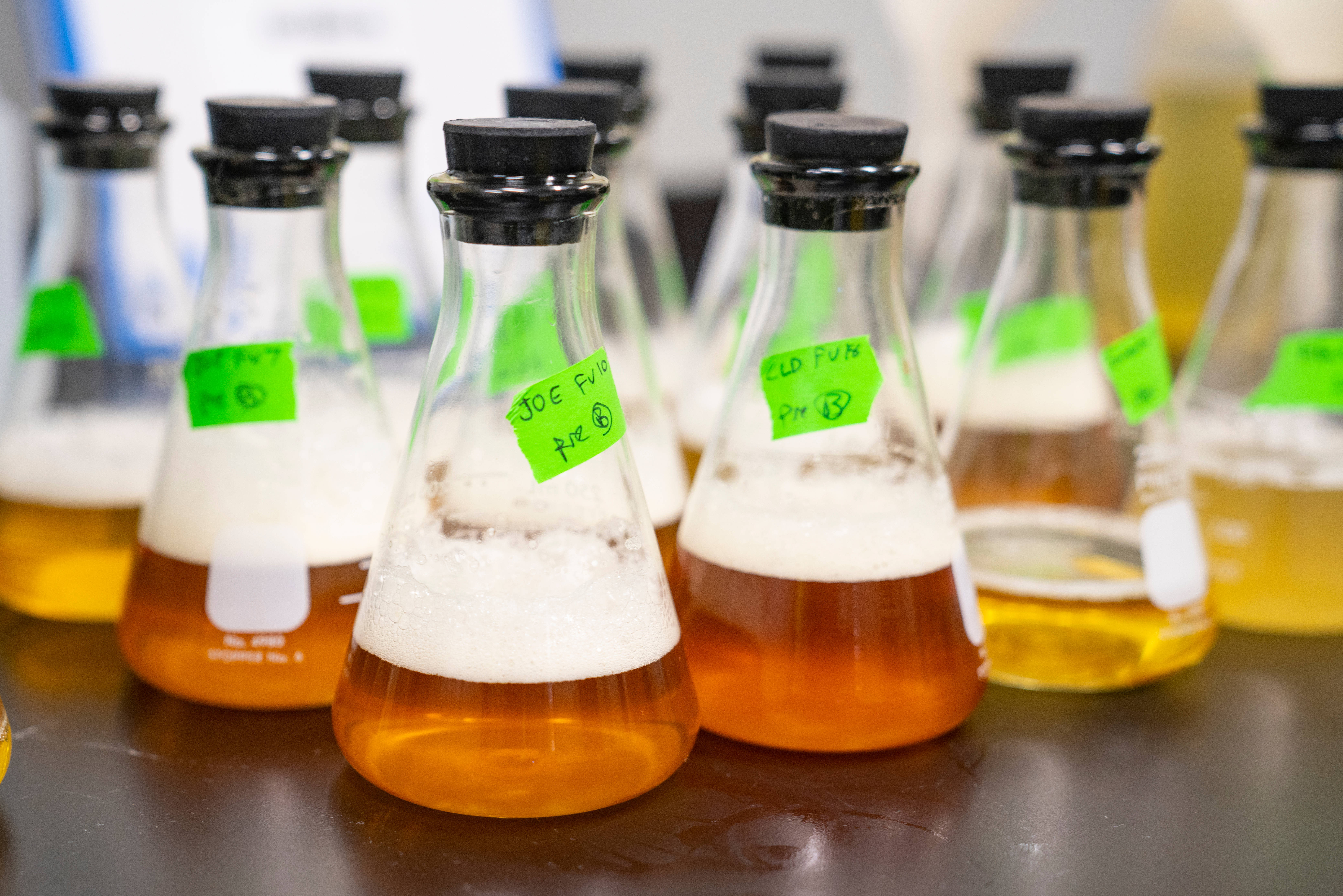 帶標籤的化學燒杯 壁紙 — 一排排裝滿琥珀色液體和白色泡沫的玻璃燒瓶放在實驗室工作台上，帶有綠色標籤。