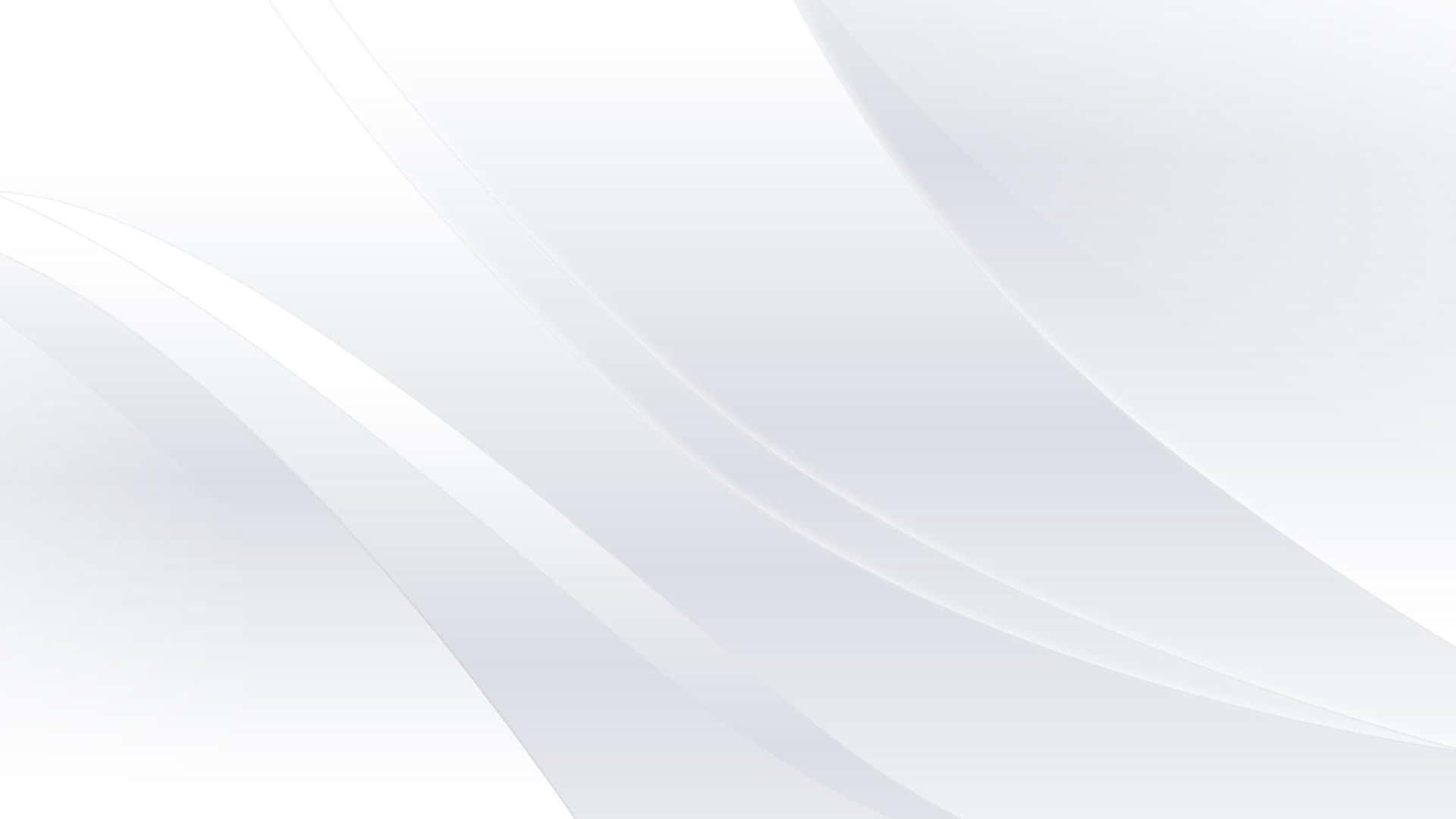 抽象白色流動曲線，帶有柔和漸變，適合極簡設計。