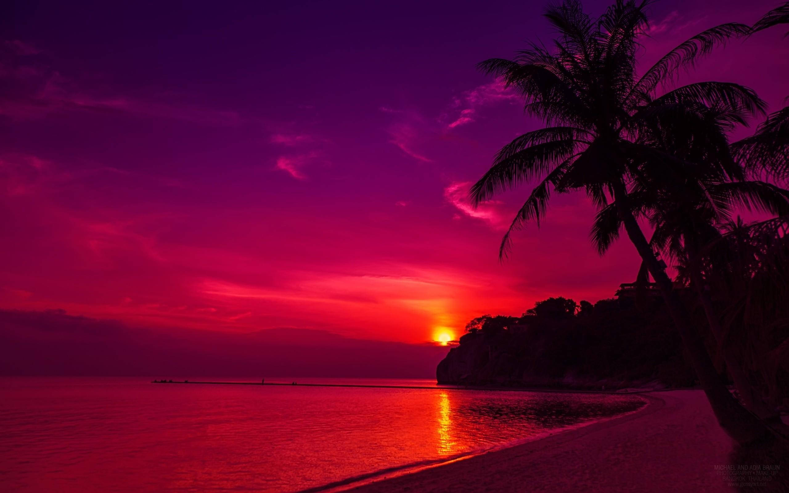 Aesthetic Sunset 桌布 壁紙 — 平靜海洋上充滿活力的紫色和紅色日落，沙灘上棕櫚樹的剪影。