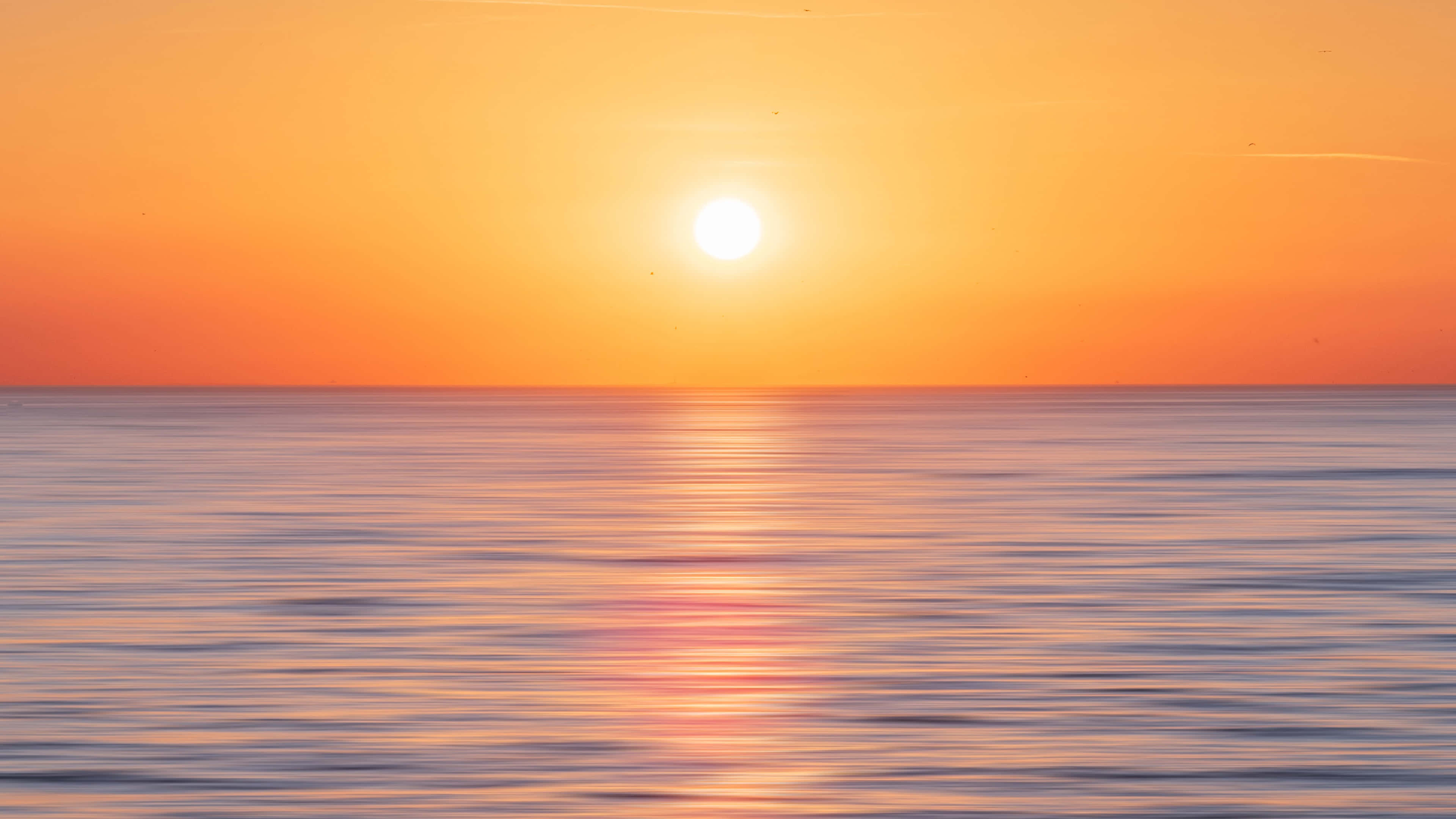 Sunset Ocean 桌布 壁紙 — 平靜海面上的寧靜日落，發光的太陽在水面投射出金色倒影。