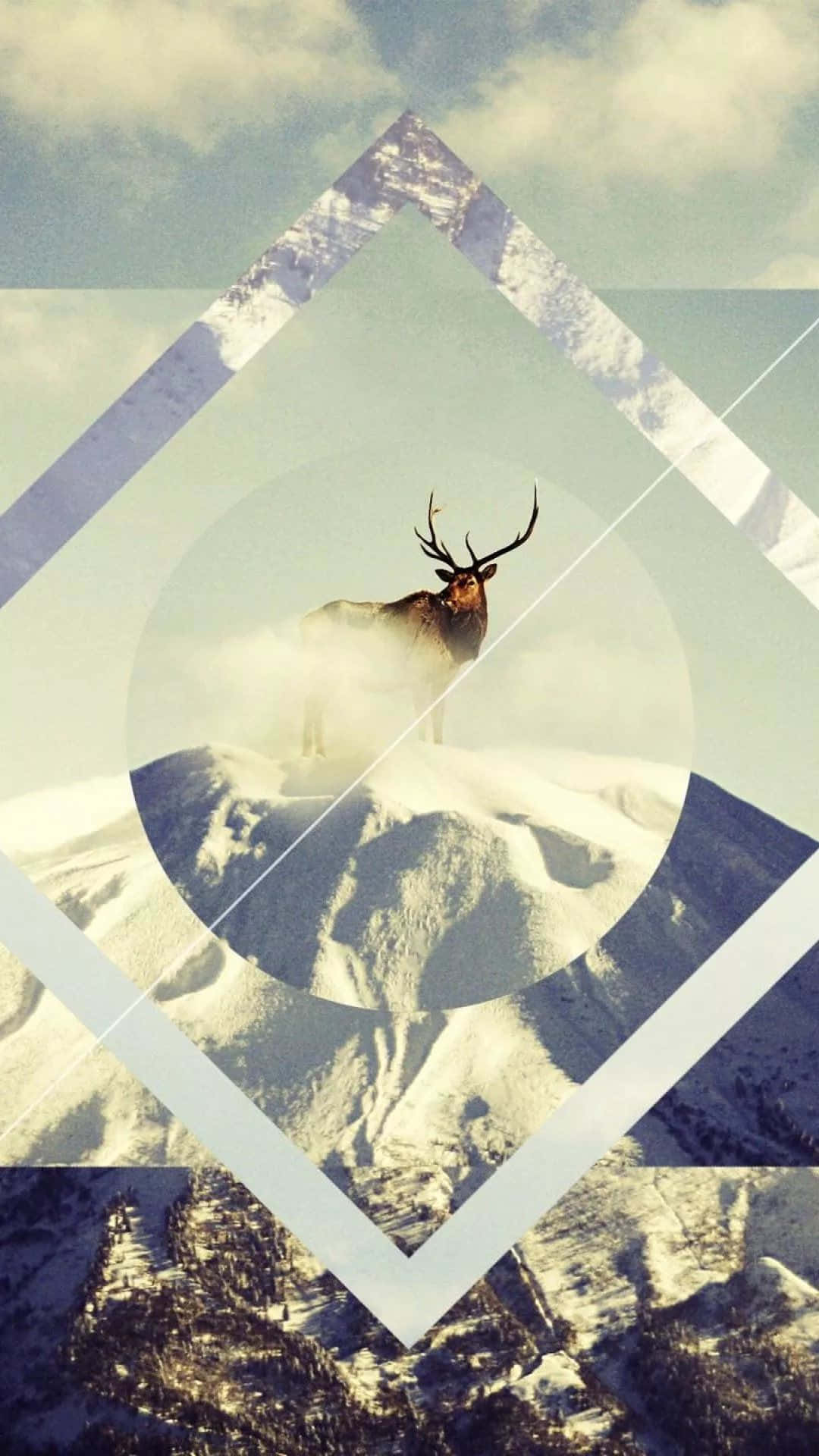 麋鹿站在白雪覆蓋的山頂上，以幾何形狀框住