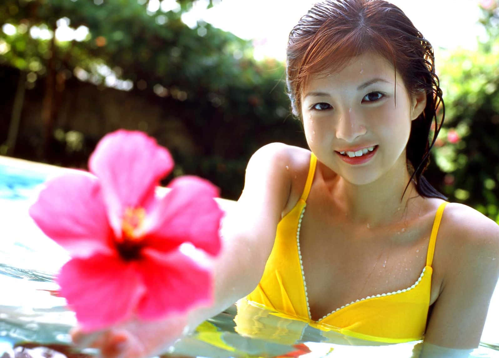 穿黃色泳衣的女性在泳池中手持粉紅色木槿花