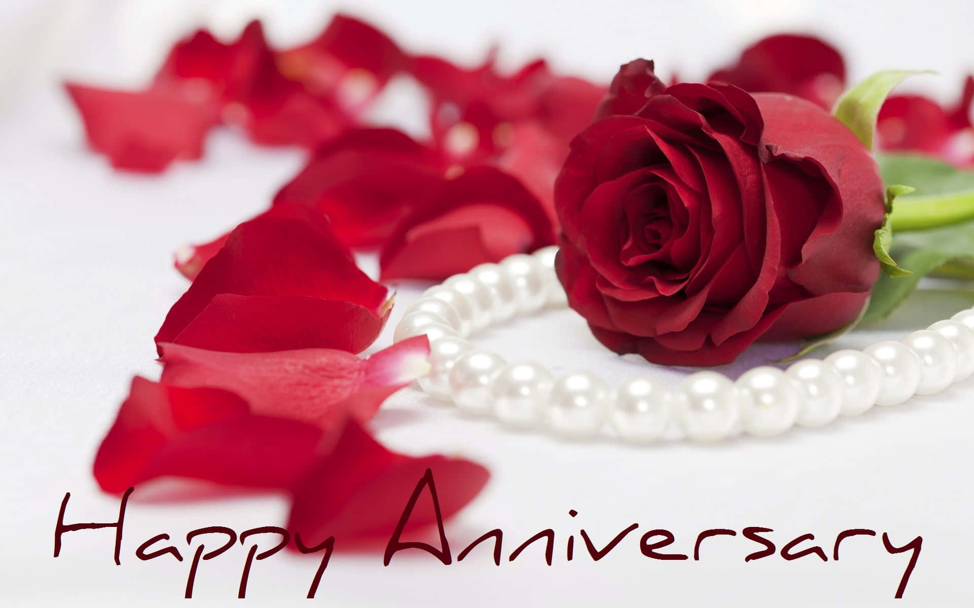 紅玫瑰和珍珠項鍊，帶有「Happy Anniversary」文字，適合浪漫慶祝。
