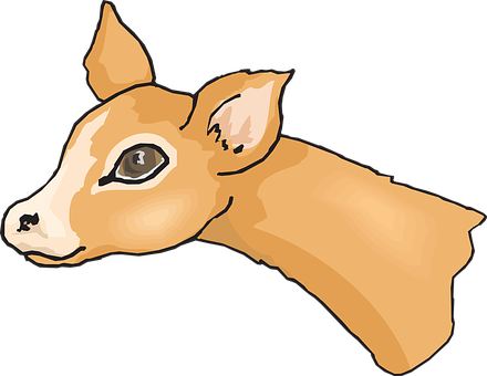 幼鹿頭像插圖 壁紙