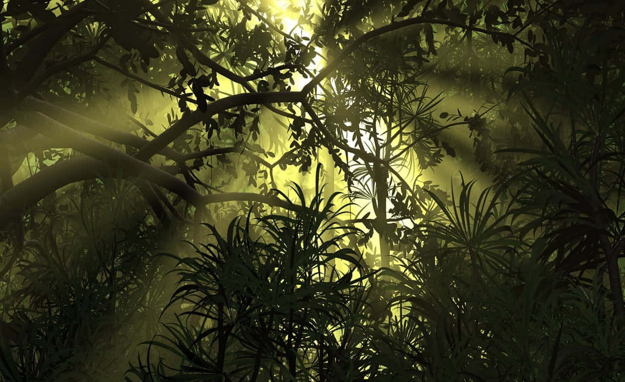 幽暗叢林與光束背景 壁紙 — 陽光穿過茂密的叢林樹葉，在迷霧般的綠色陰影中投射出金色光束。