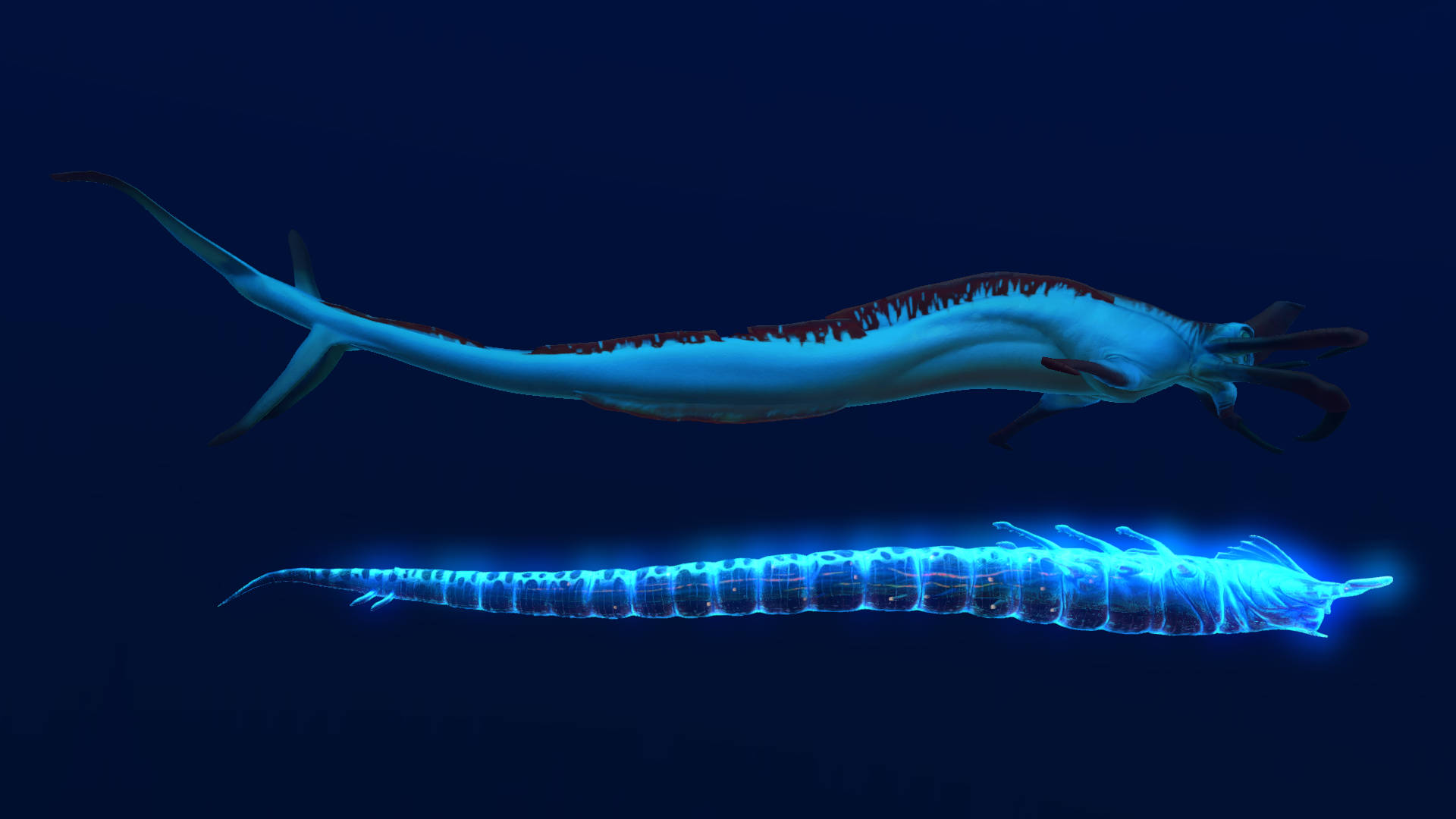 兩隻發光的深海生物在深藍色水中游泳