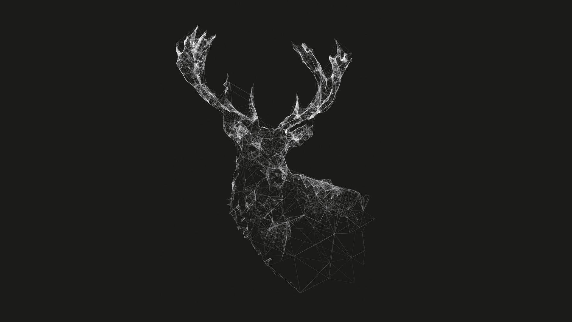 Dark Minimalist 桌布 壁紙 — 幾何線框鹿頭，帶有鹿角，在黑暗背景中發光。