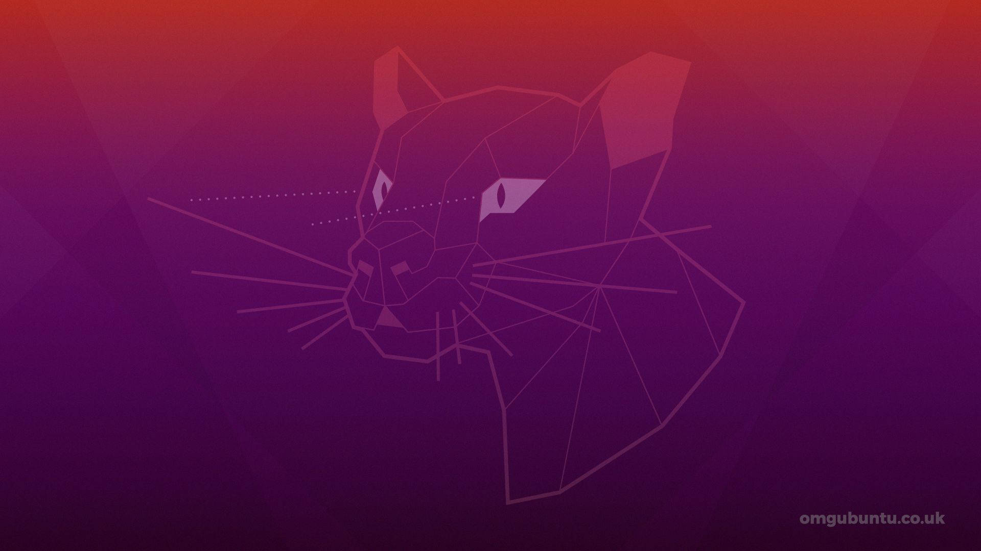 Ubuntu Focal Fossa 壁紙 — 幾何線條藝術的豹頭，以紫色和紅色漸變在深色背景上。