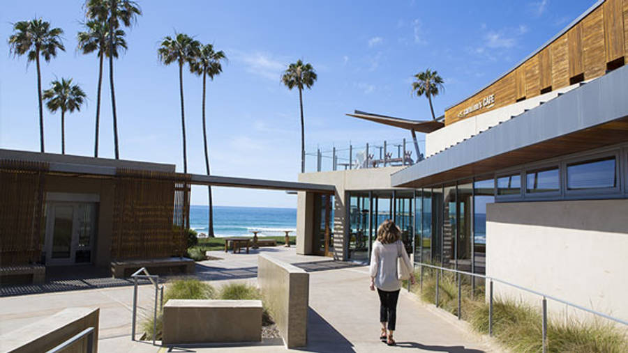 度假風 UCSD 壁紙 — 一名女性在晴朗的日子裏，走向高聳棕櫚樹下的現代海邊咖啡館，享有海洋美景。
