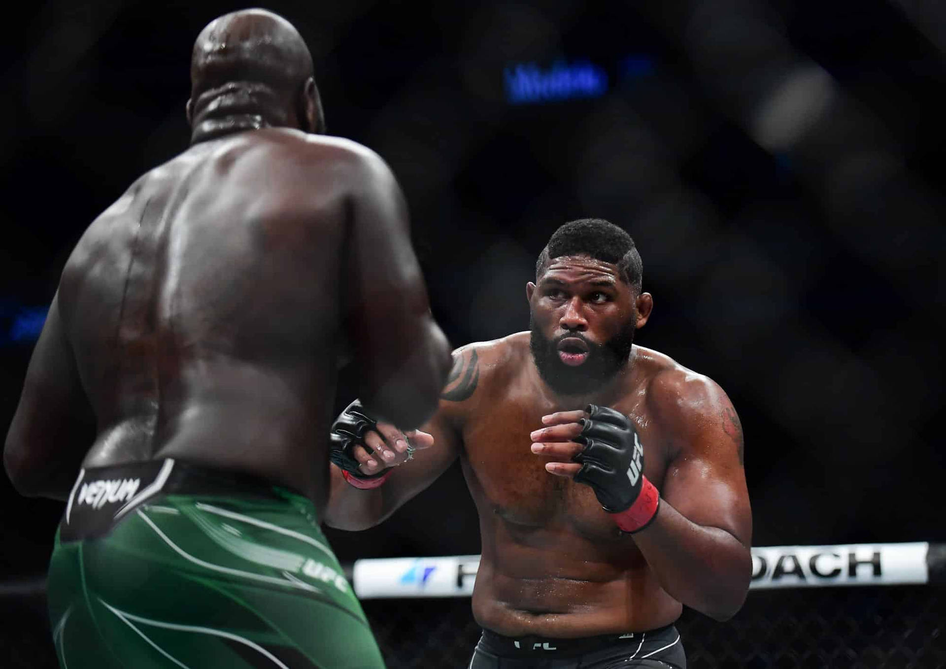 UFC比賽中，兩名MMA拳手在鐵籠內專注的表情。