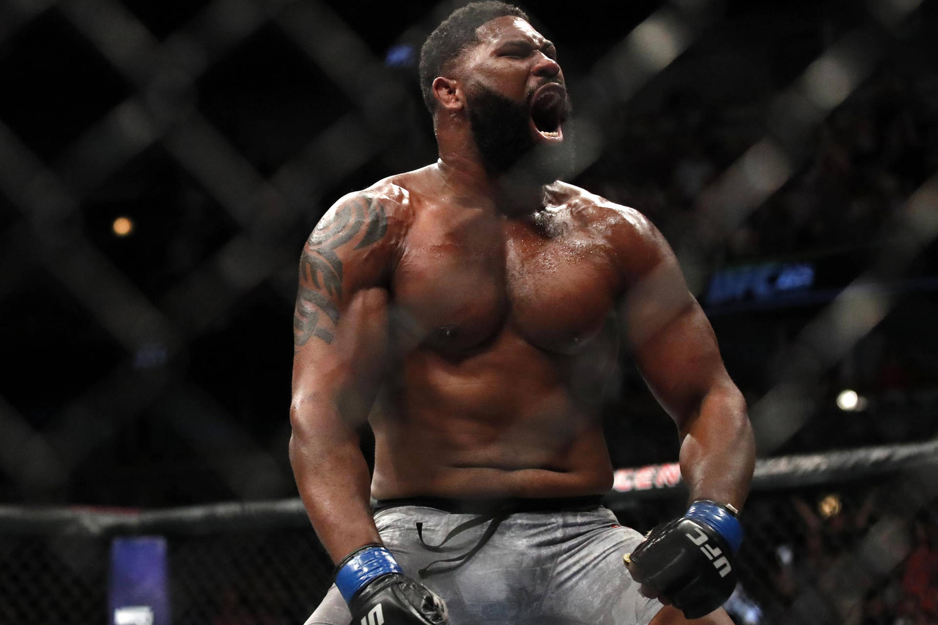 一位勝利的MMA戰士在八角籠中勝利後咆哮。