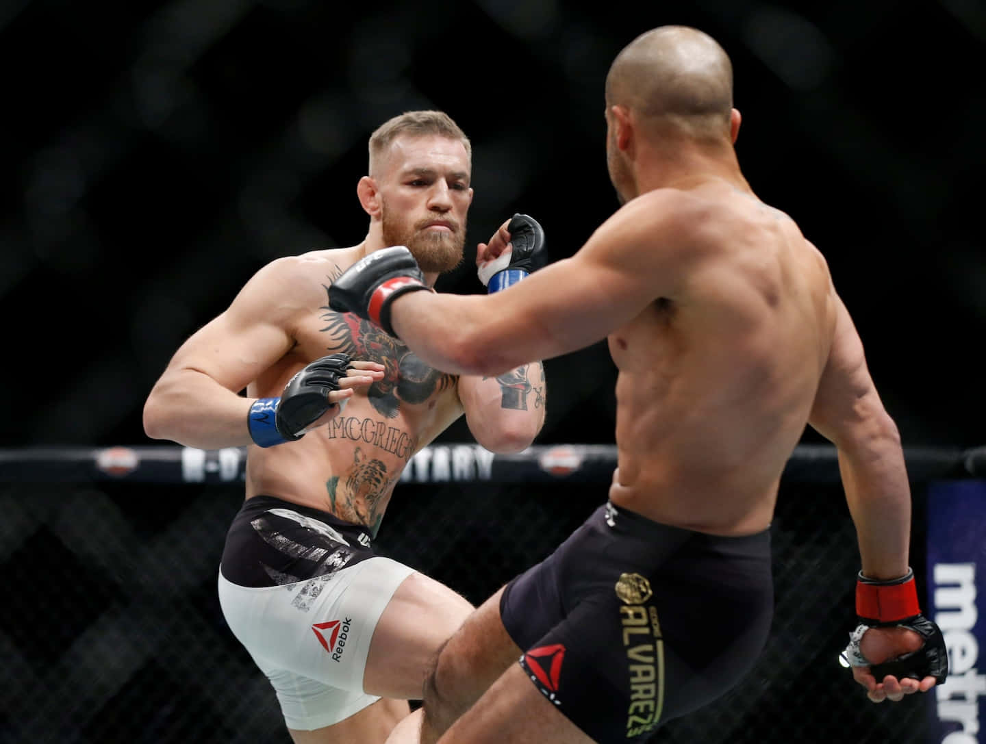 兩名戴著MMA手套的男性拳手在八角鐵籠內互相出擊。