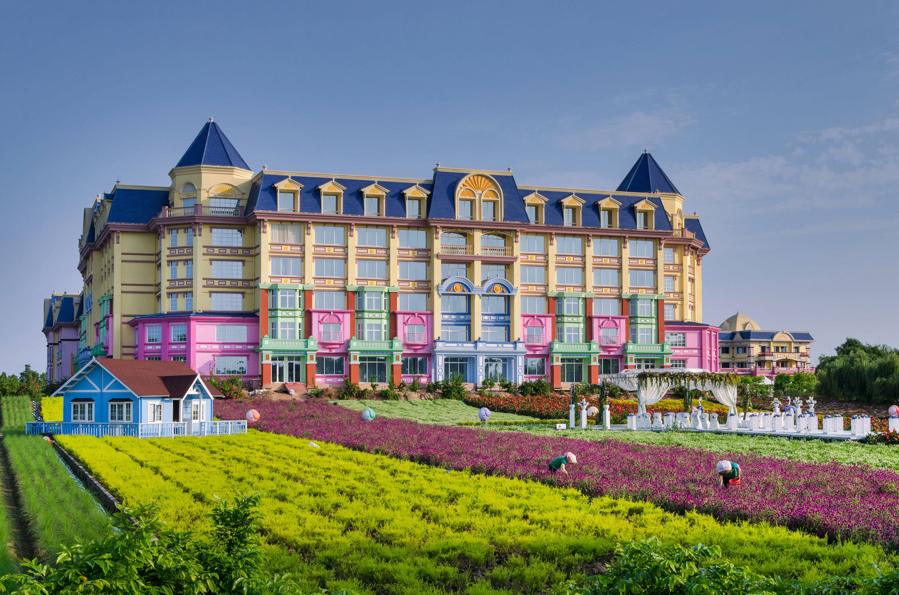 廣州向日葵園 壁紙 — 一座巨大的粉彩城堡式酒店矗立在充滿活力的紫色和黃色花叢後面，背景是清澈的藍天。
