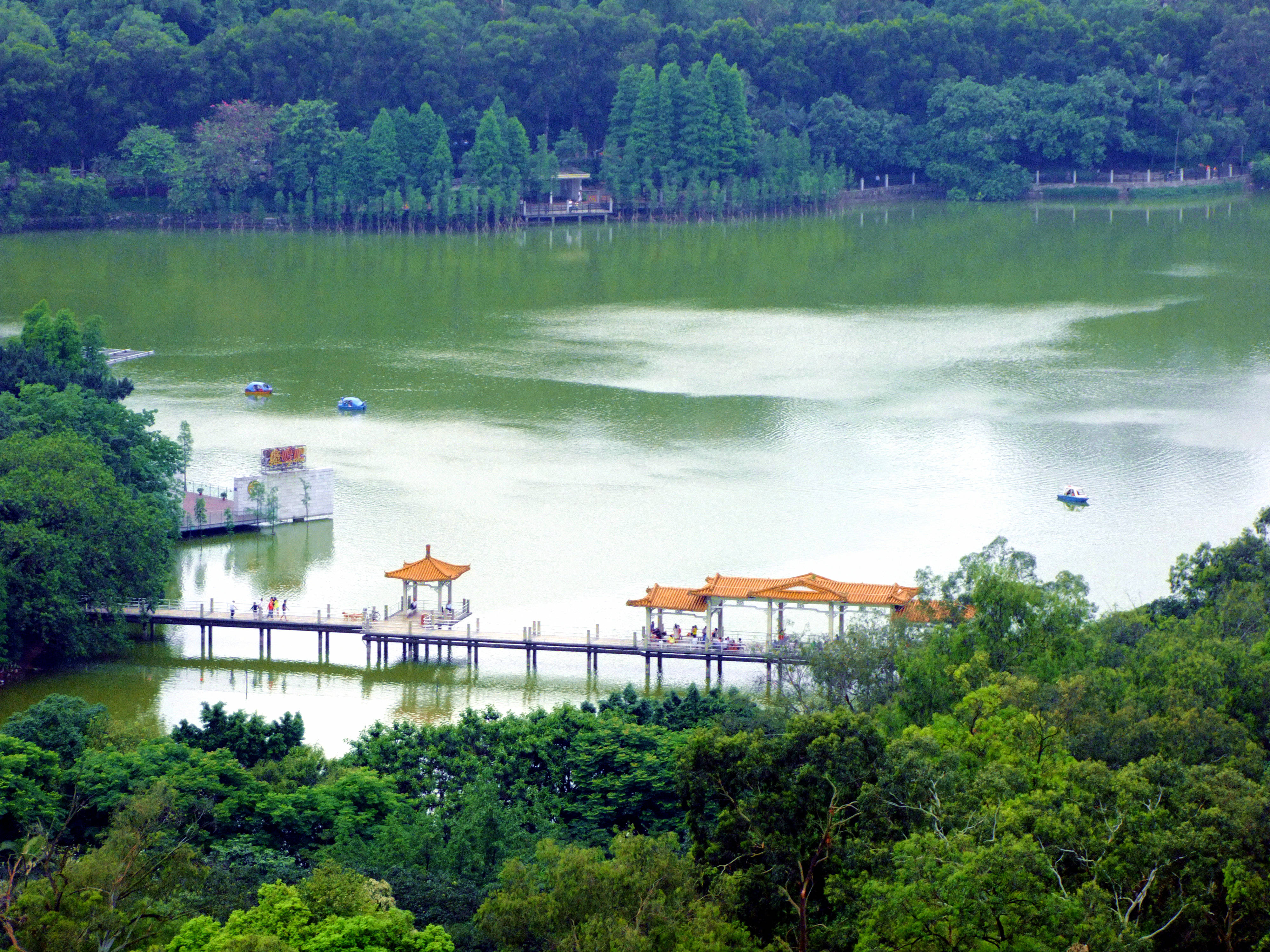 廣州流花湖公園 壁紙 — 一個寧靜的湖泊，周圍環繞著茂密的綠樹，有橙色屋頂的亭閣和一個木製碼頭，人們在那裡散步，小船漂浮。