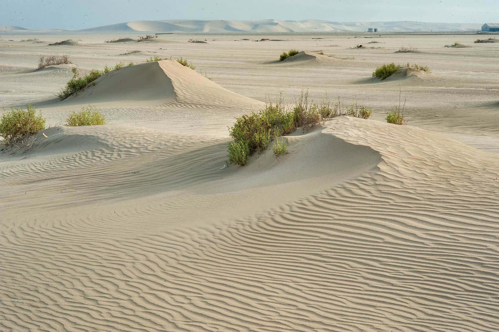 Beach Sand 桌布 壁紙 — 廣闊嘅沙漠沙丘，有波紋嘅沙同稀疏嘅綠色灌木，喺晴朗嘅藍天下。