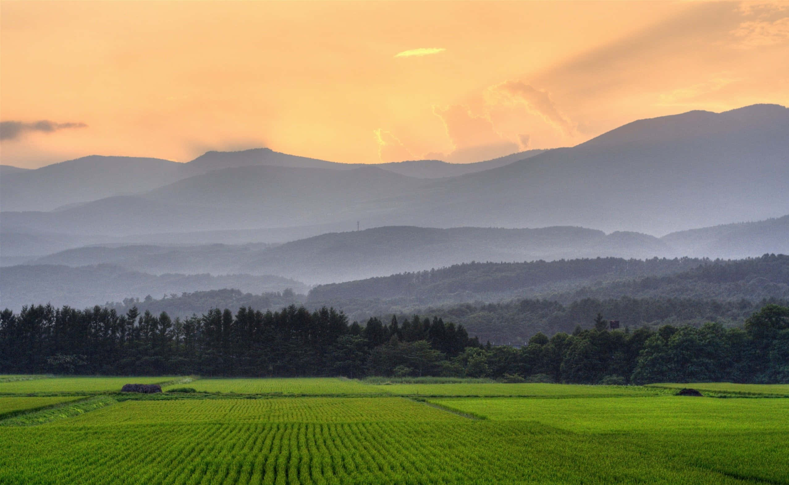 Agriculture 桌布 壁紙 — 廣闊嘅綠色稻田喺溫暖嘅橙色日落天空下延伸向煙霧繚繞嘅山脈。