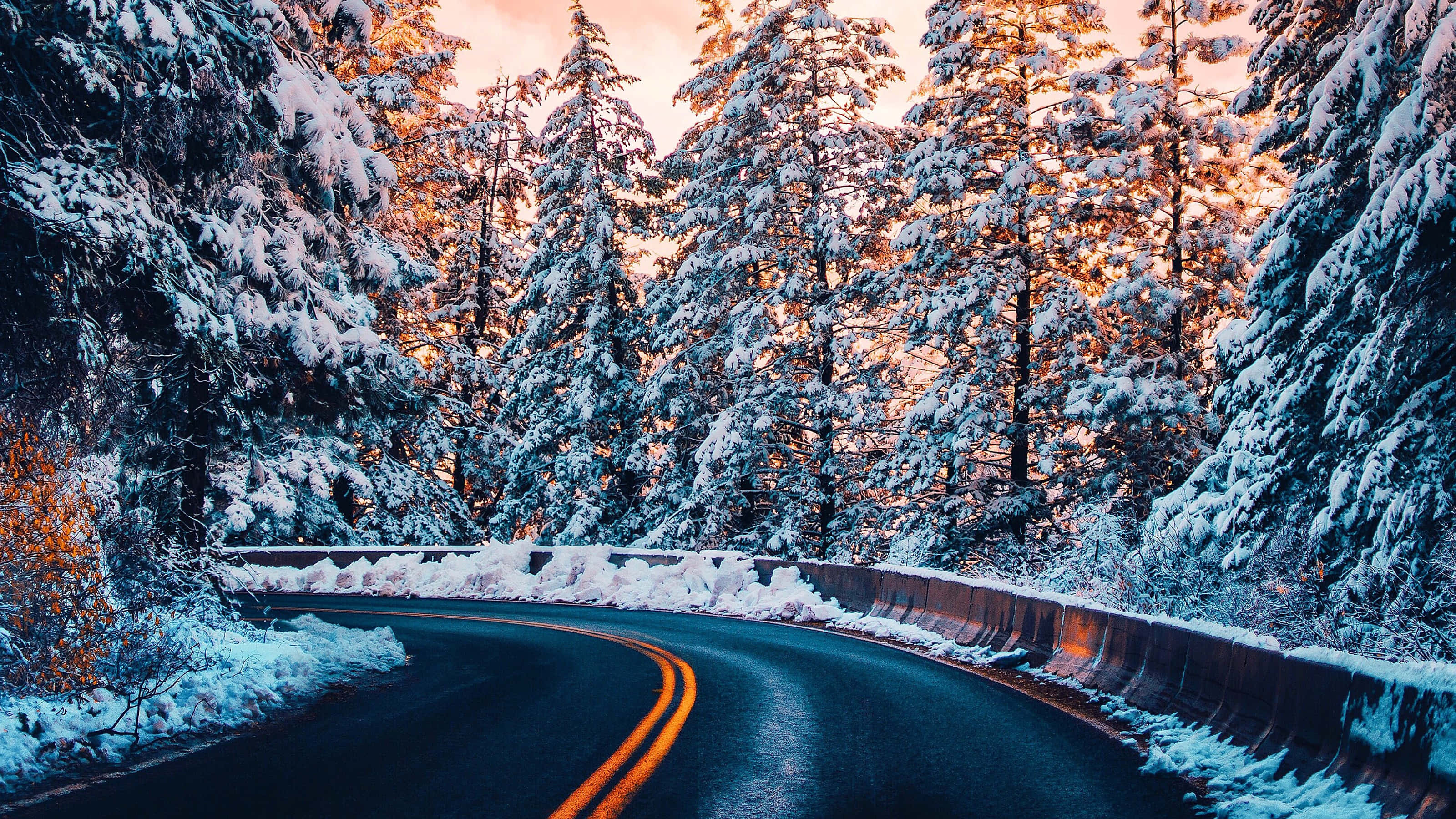 廣闊無垠的道路 壁紙 — 一條蜿蜒的雪路在日落時分穿過茂密的森林，金色的陽光照亮了積雪的松樹。