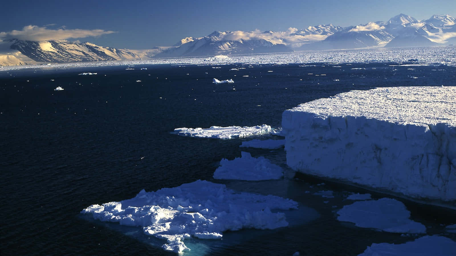 Antarctica 桌布 壁紙 — 廣闊的北極海景，高聳的冰山漂浮在深藍色的海水中，背景是白雪覆蓋的山脈，天空晴朗。