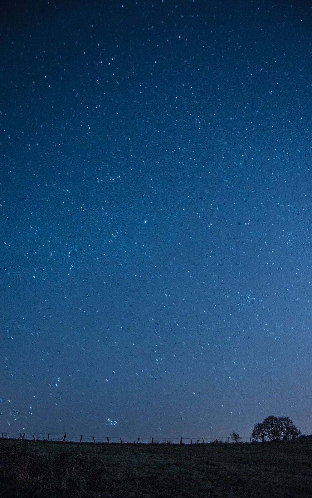 藍天 桌布 壁紙 — 廣闊的星空夜空主導著上方有籬笆和孤樹的黑暗剪影田野。