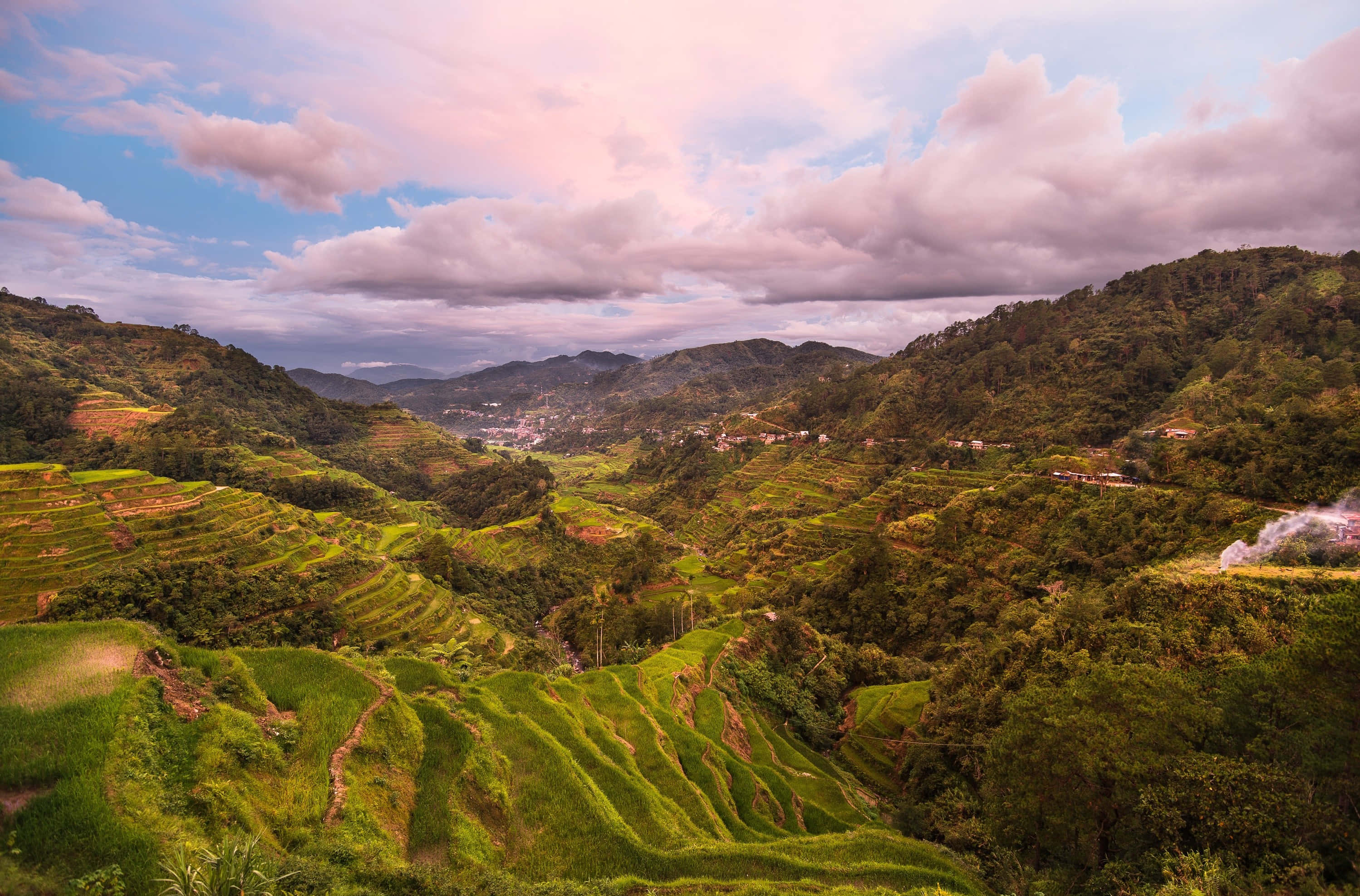 Philippines 桌布 壁紙 — 廣闊的梯田在柔和的粉紅色和藍色天空下，沿著翠綠的山丘層層疊疊而下，伴隨著蓬鬆的雲朵。