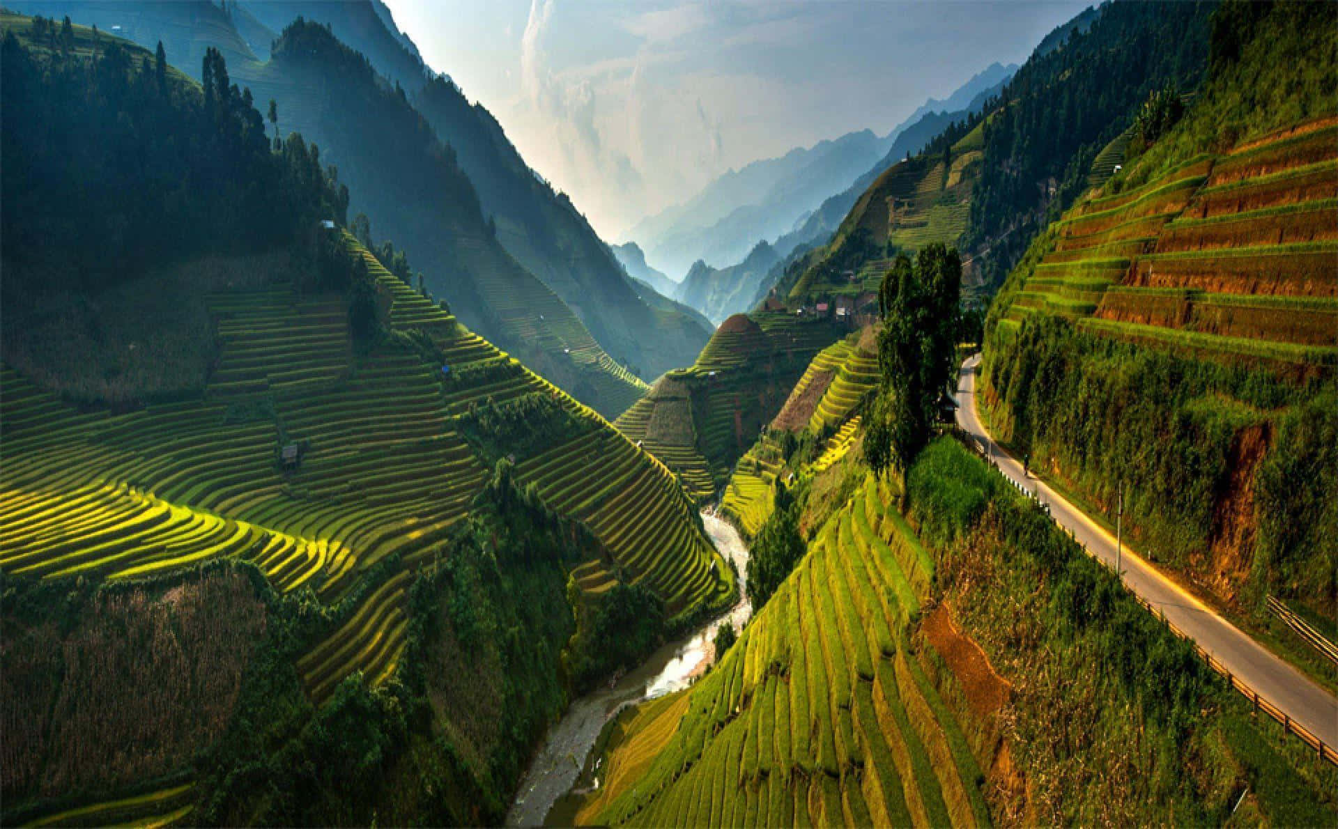 Vietnam 桌布 壁紙 — 廣闊的梯田如瀑布般沿著霧氣瀰漫的山坡傾瀉而下，蜿蜒的道路和河流穿過山谷。
