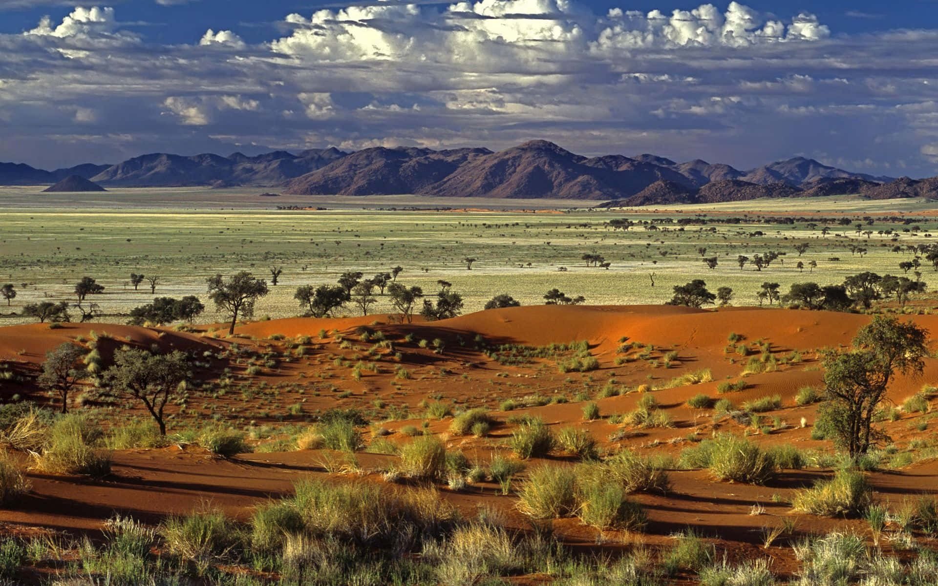 African Landscapes 桌布 壁紙 — 廣闊的紅色沙丘在戲劇性的藍天和白雲下延伸至遠山。