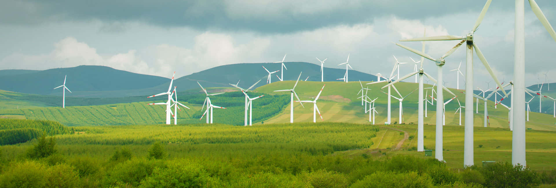 Green Technology 桌布 壁紙 — 廣闊的綠色田野上點綴著無數白色風力發電機，天空多雲，遠處有連綿起伏的山丘。