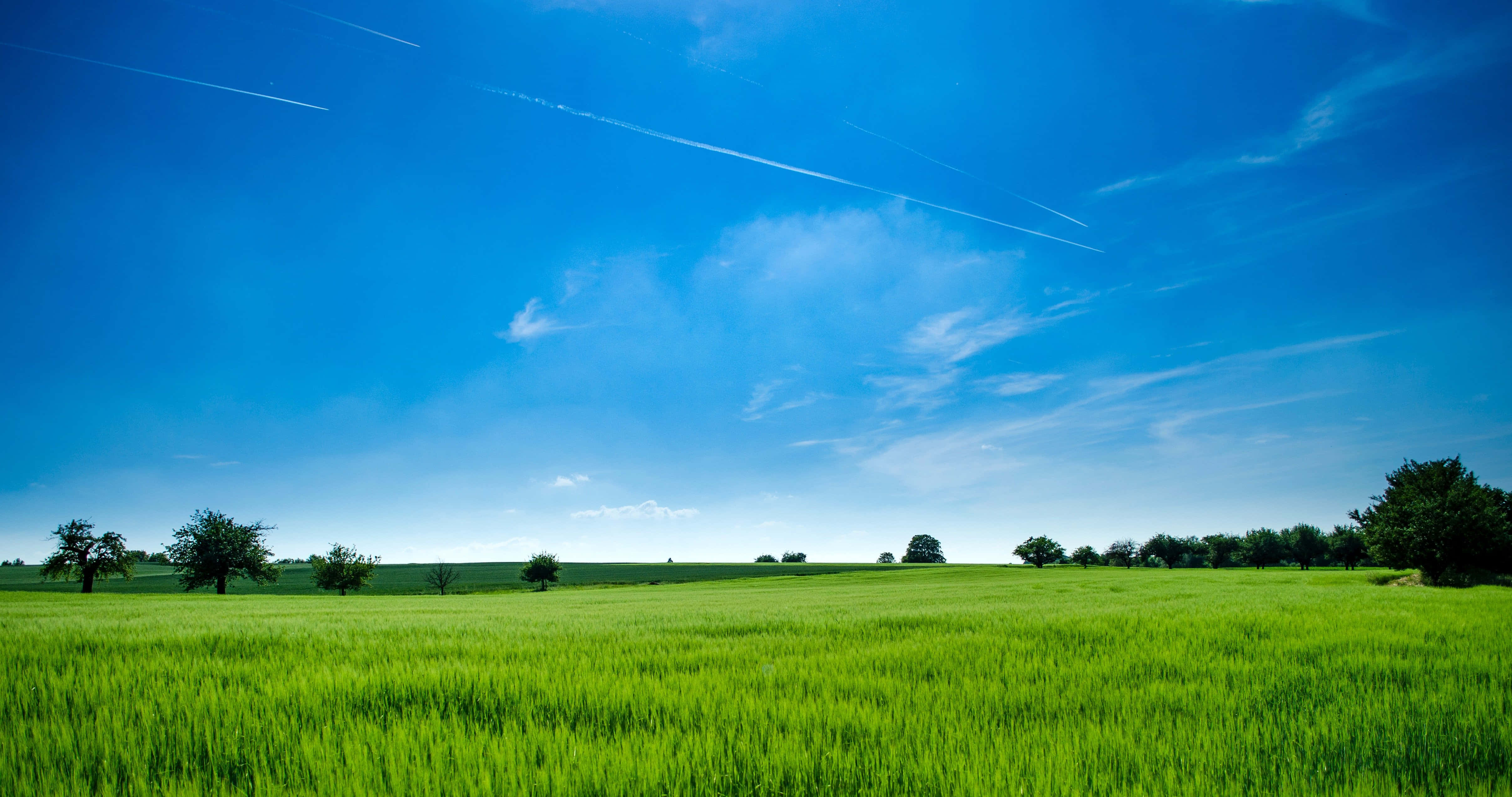 Agriculture 桌布 壁紙 — 廣闊的綠色田野在明亮的藍天下延伸，有縷縷雲彩和飛機尾跡。