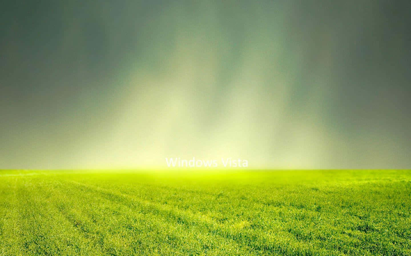 Windows Vista 桌布 壁紙 — 廣闊的綠色田野沐浴在柔和的金色光線中，上方是霧濛濛的天空。