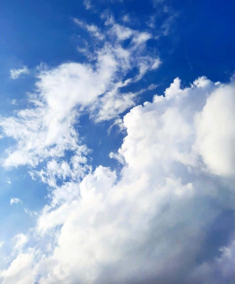 Blue Horizon 桌布 壁紙 — 廣闊的藍天，充滿蓬鬆的白雲，在晴朗明媚的日子裡飄過。
