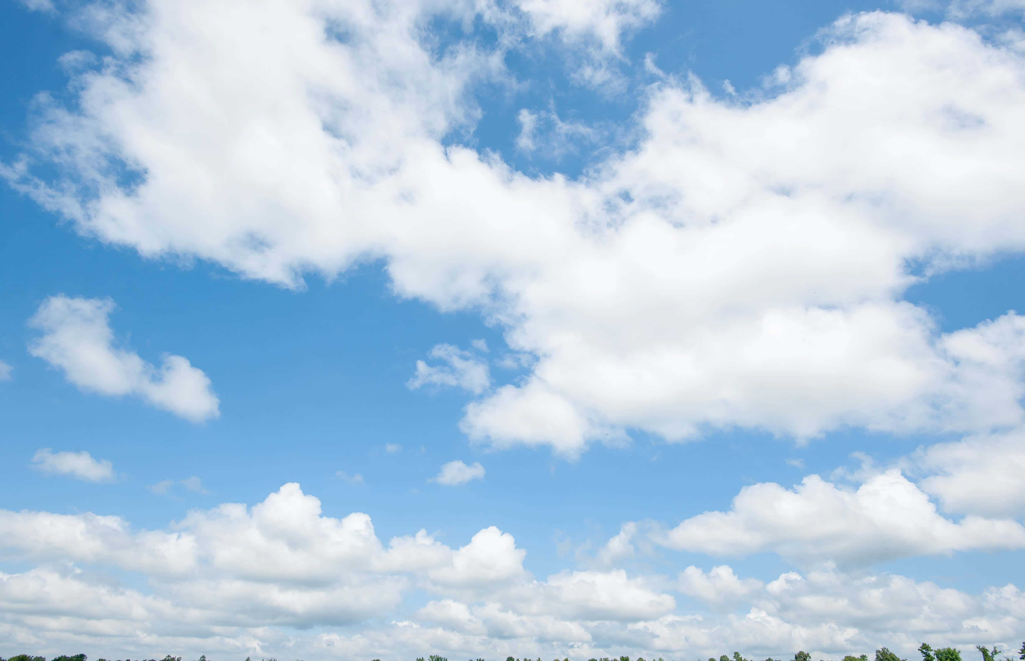 Blue Skies 桌布 壁紙 — 廣闊的藍天，在晴朗明媚的日子裡，蓬鬆的白雲飄浮在遠處的樹線之上。