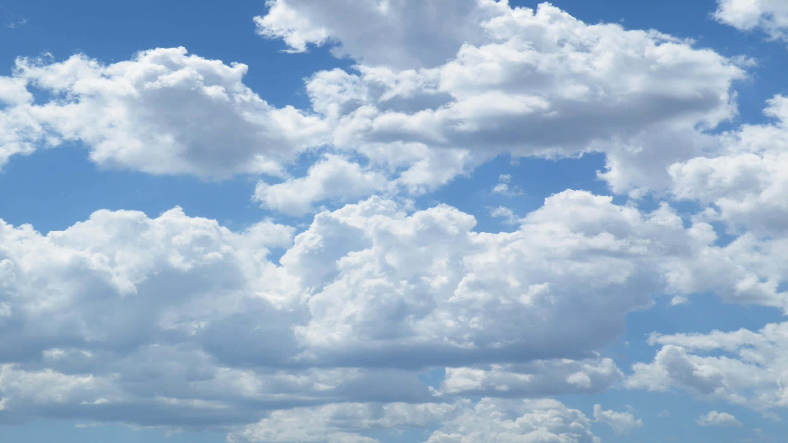 Cloud Aesthetic 桌布 壁紙 — 廣闊的藍天中充滿了蓬鬆的白色積雲，懶洋洋地飄過。