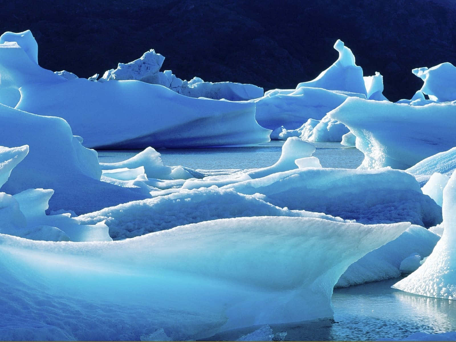 Antarctica 桌布 壁紙 — 廣闊的藍色冰山在平靜的水面上寧靜地漂浮，背景是深藍色的天空和崎嶇的懸崖。
