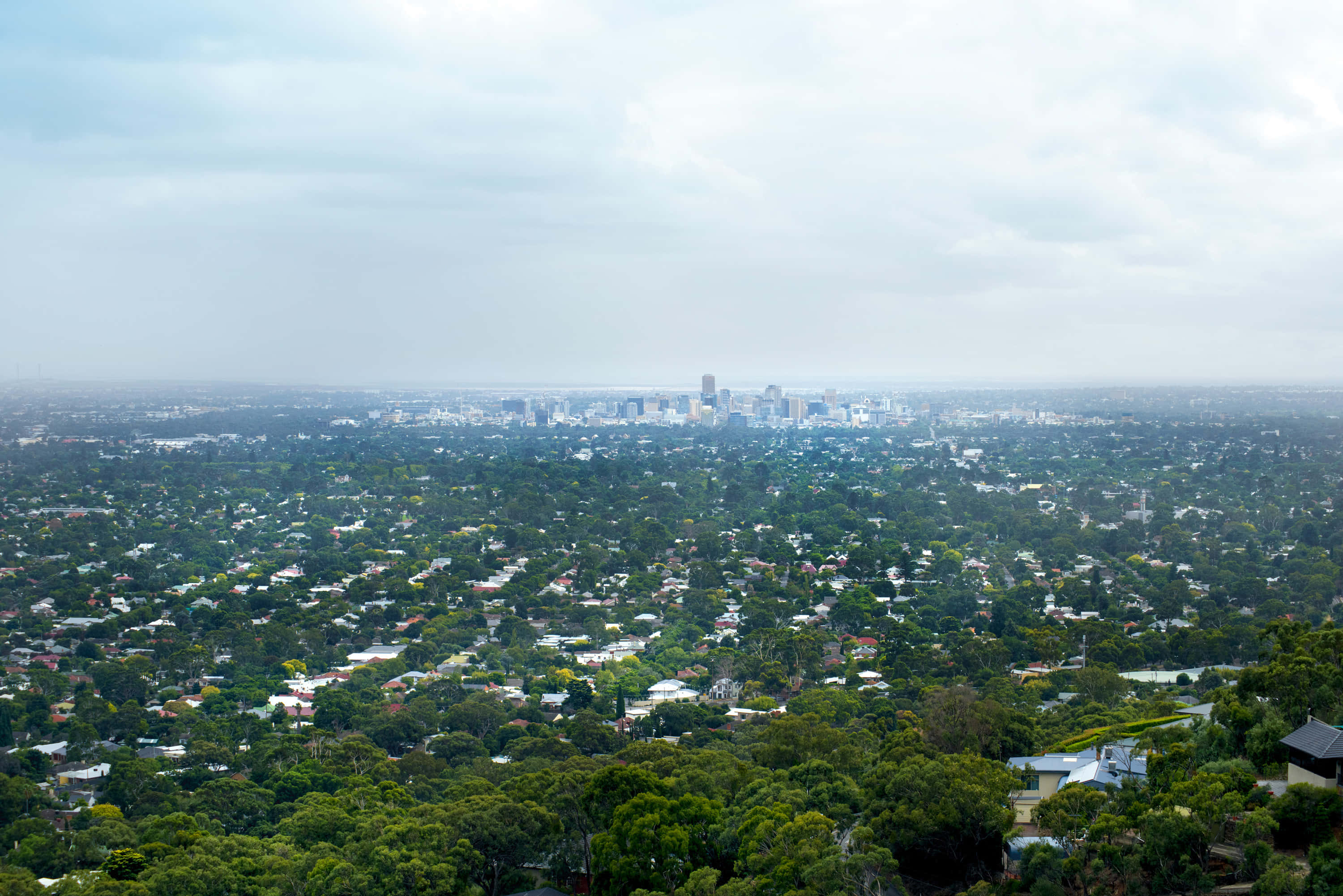 Adelaide 桌布 壁紙 — 廣闊的郊區景觀，茂密的綠色樹木和散落的房屋在陰天天空下逐漸融入遠處的城市天際線。