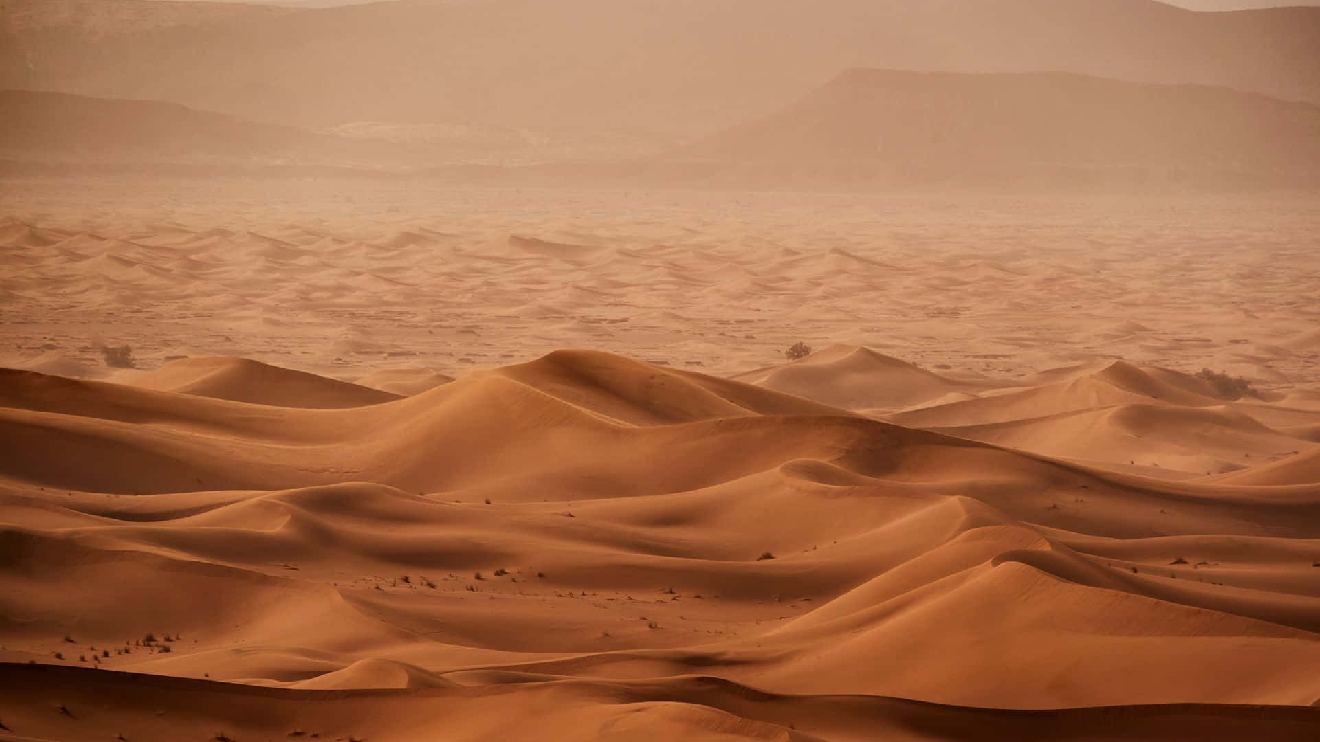 Sand Dunes 桌布 壁紙 — 廣闊的金色沙丘在朦朧的陽光下起伏，遠山在沙漠地平線上逐漸消失。