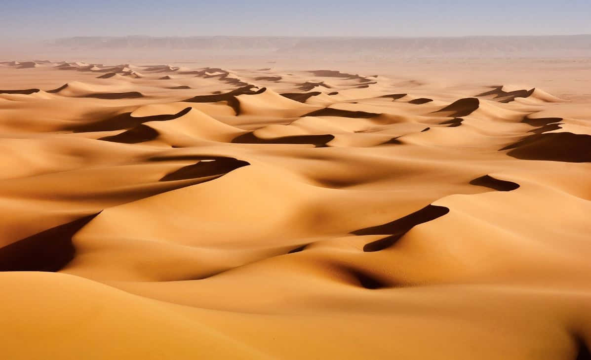 Sand Dunes 桌布 壁紙 — 廣闊的金色沙丘在清澈的藍天下無盡延伸，在沙漠景觀中投下長長的陰影。